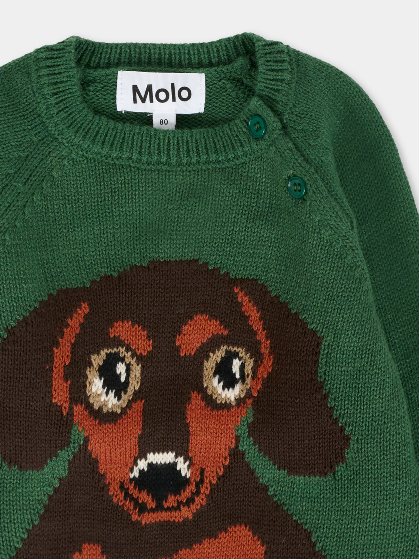 Maglione Bless verde per neonati con cane,Molo,6W25K204 9666