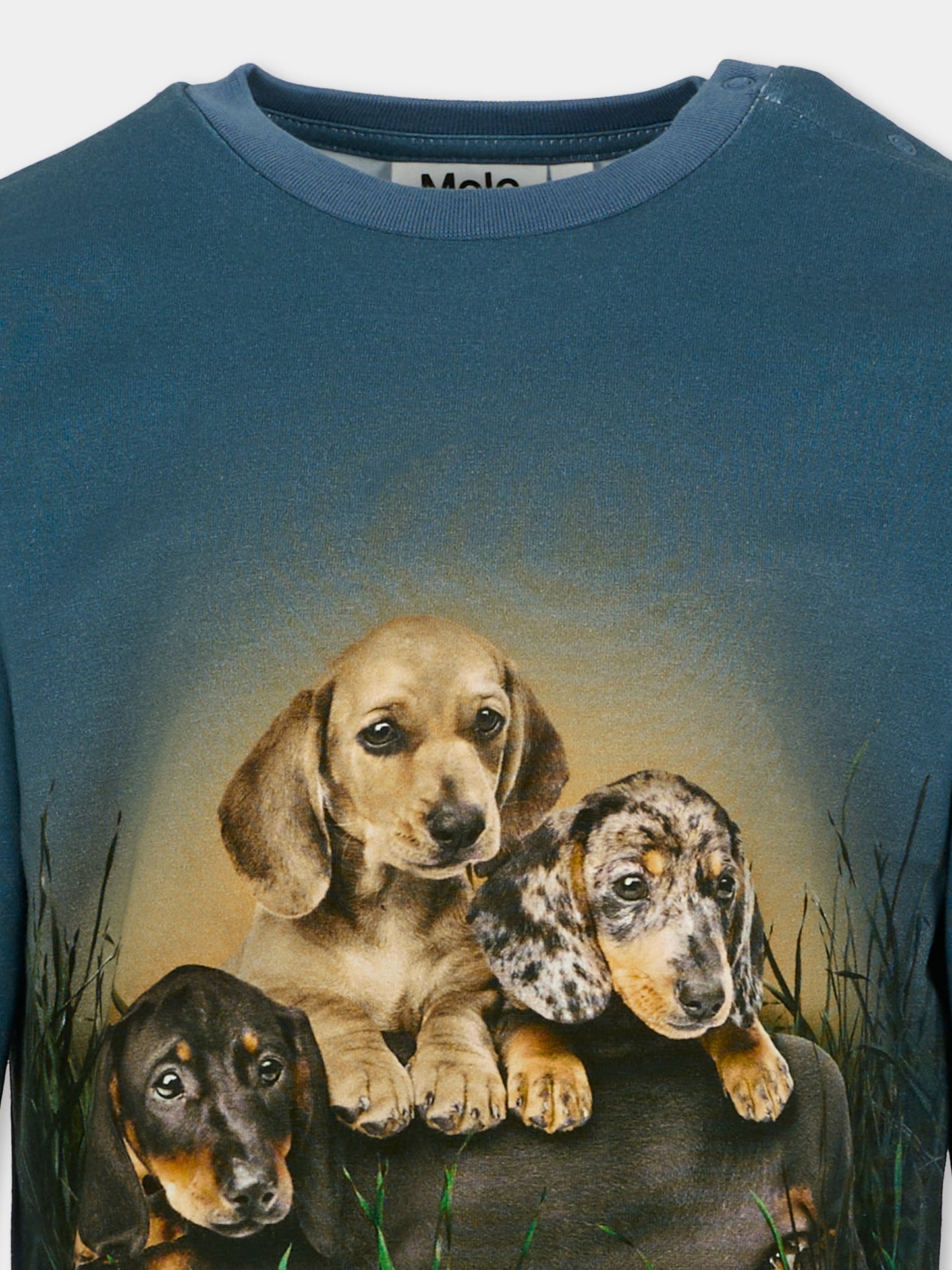 T-shirt Eloy blu per bambino con cani,Molo,6W25A404 9679