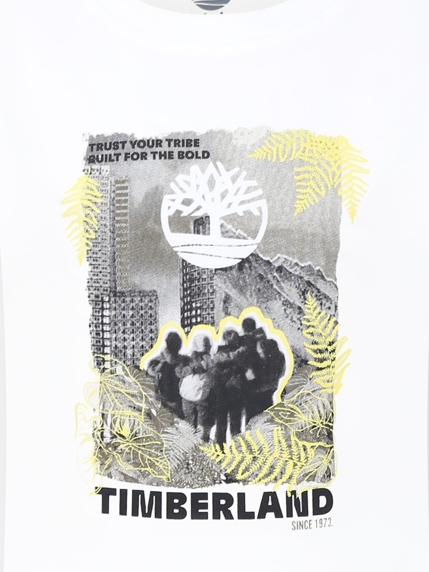 T-shirt bianca per bambino con logo e stampa,Timberland,T60144 10P