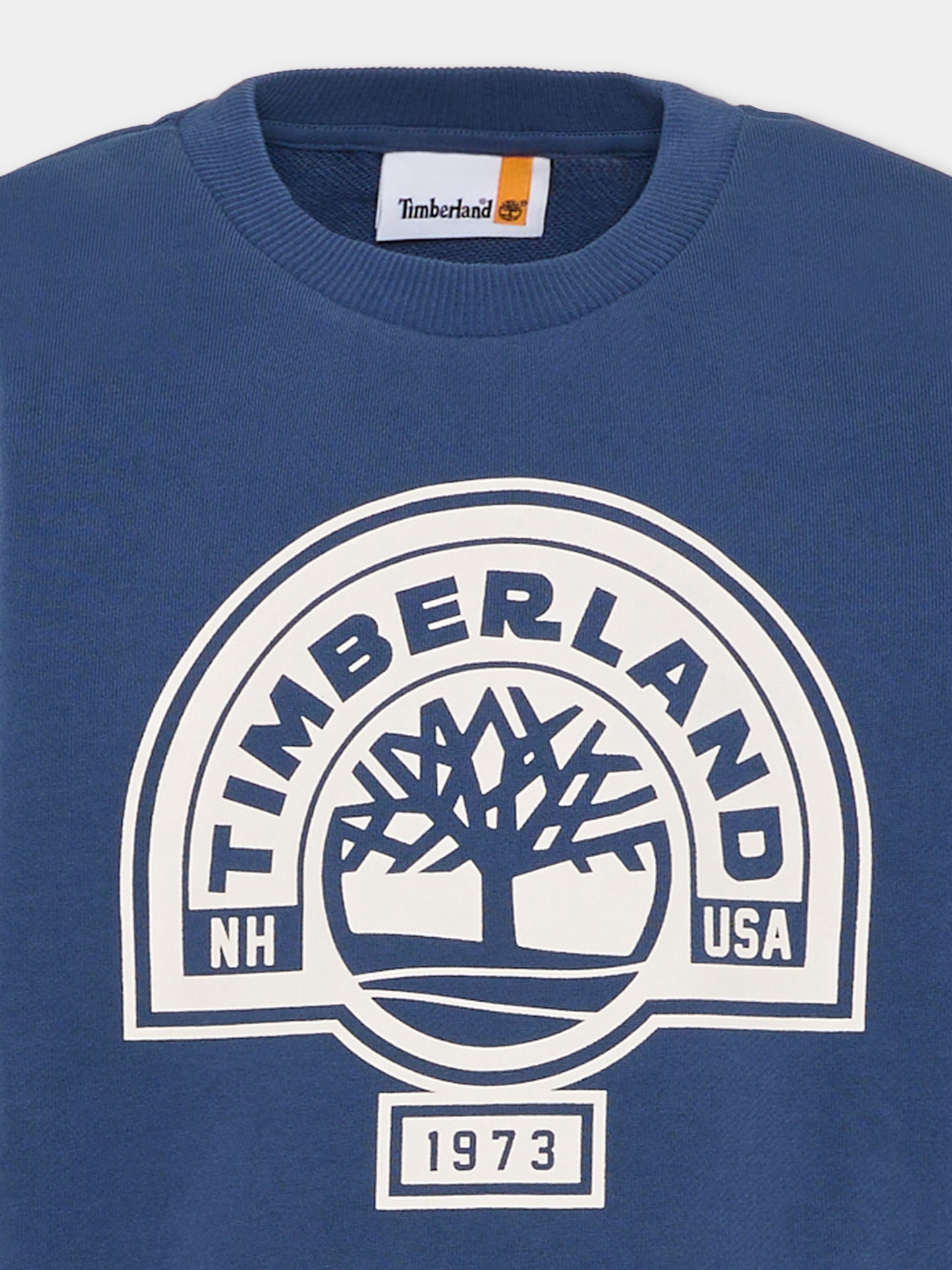 Felpa blu per bambino con logo,Timberland,T60811 805