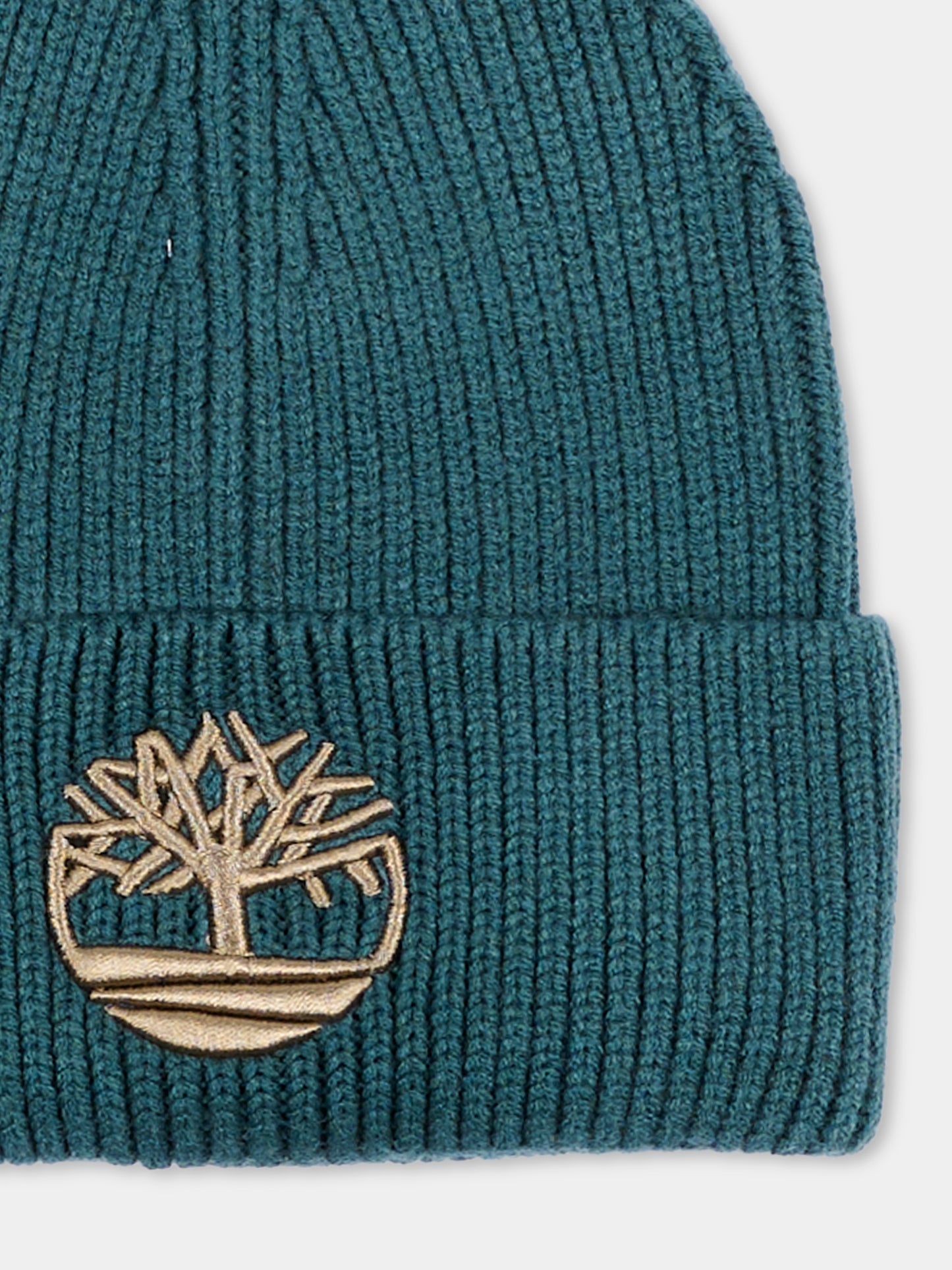 Berretto verde con logo,Timberland,T61097 68R