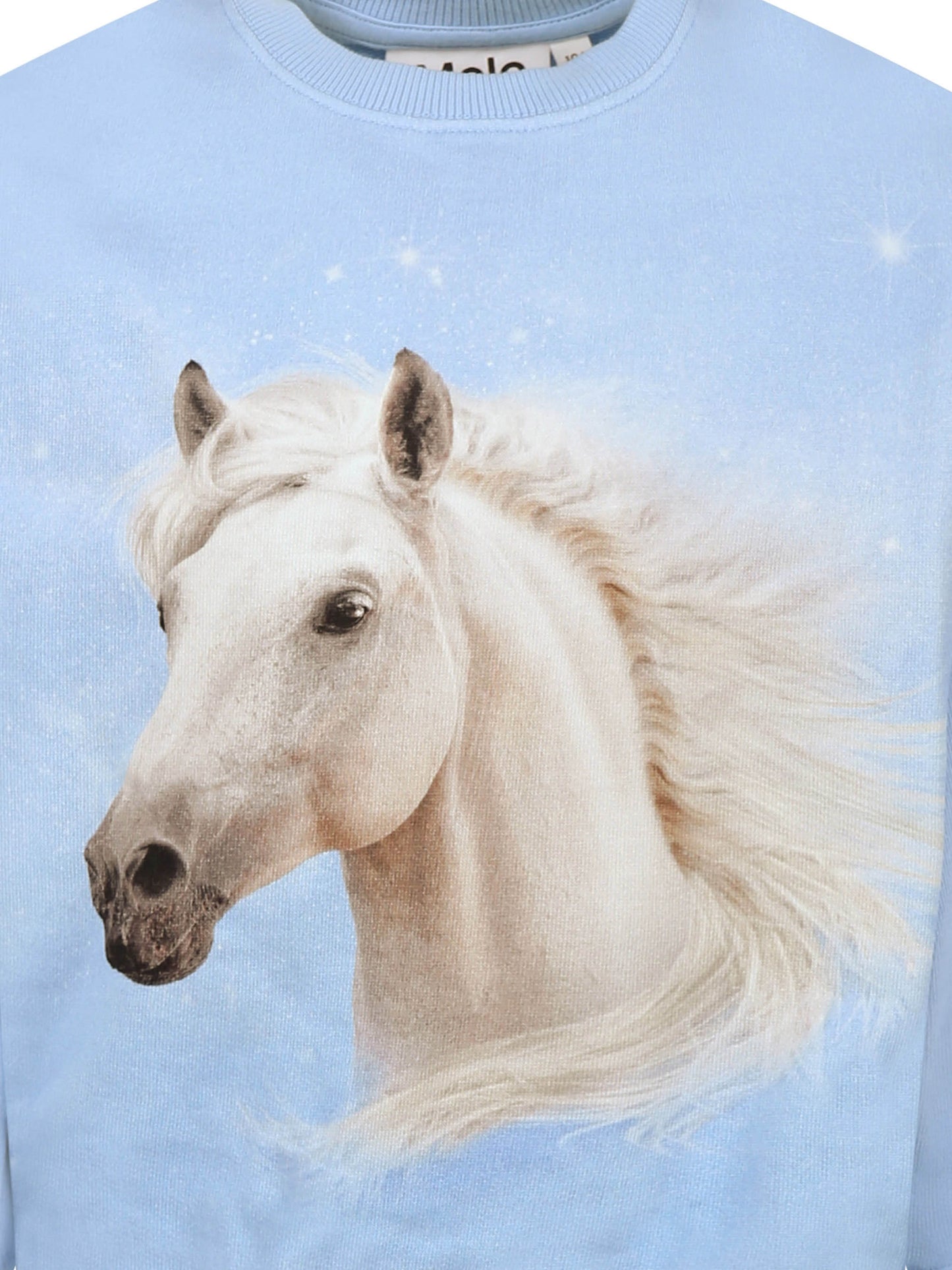 Felpa Monti celeste per bambina con stampa cavallo