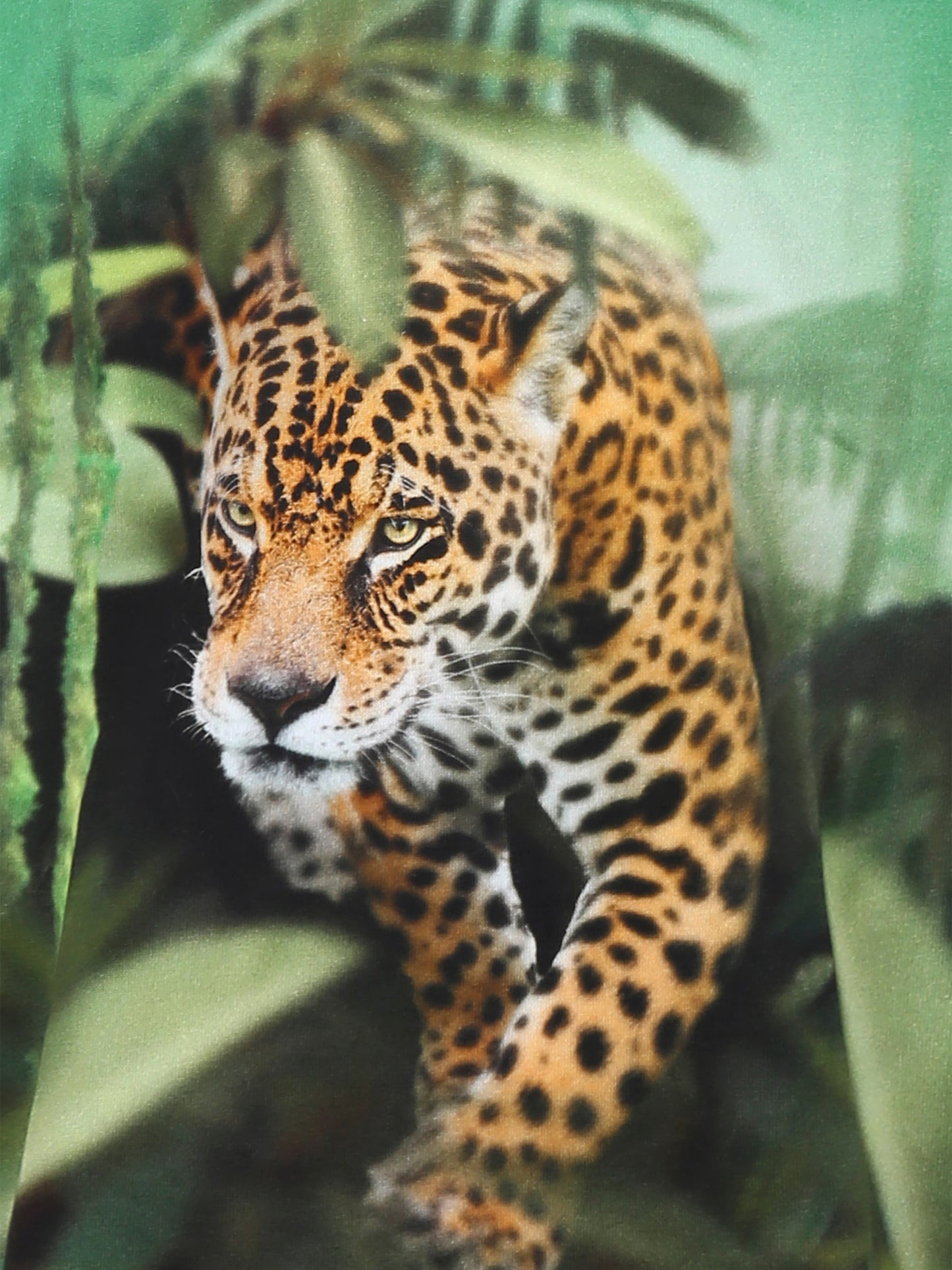 T-shirt Riley verde per bambino con dinosauri