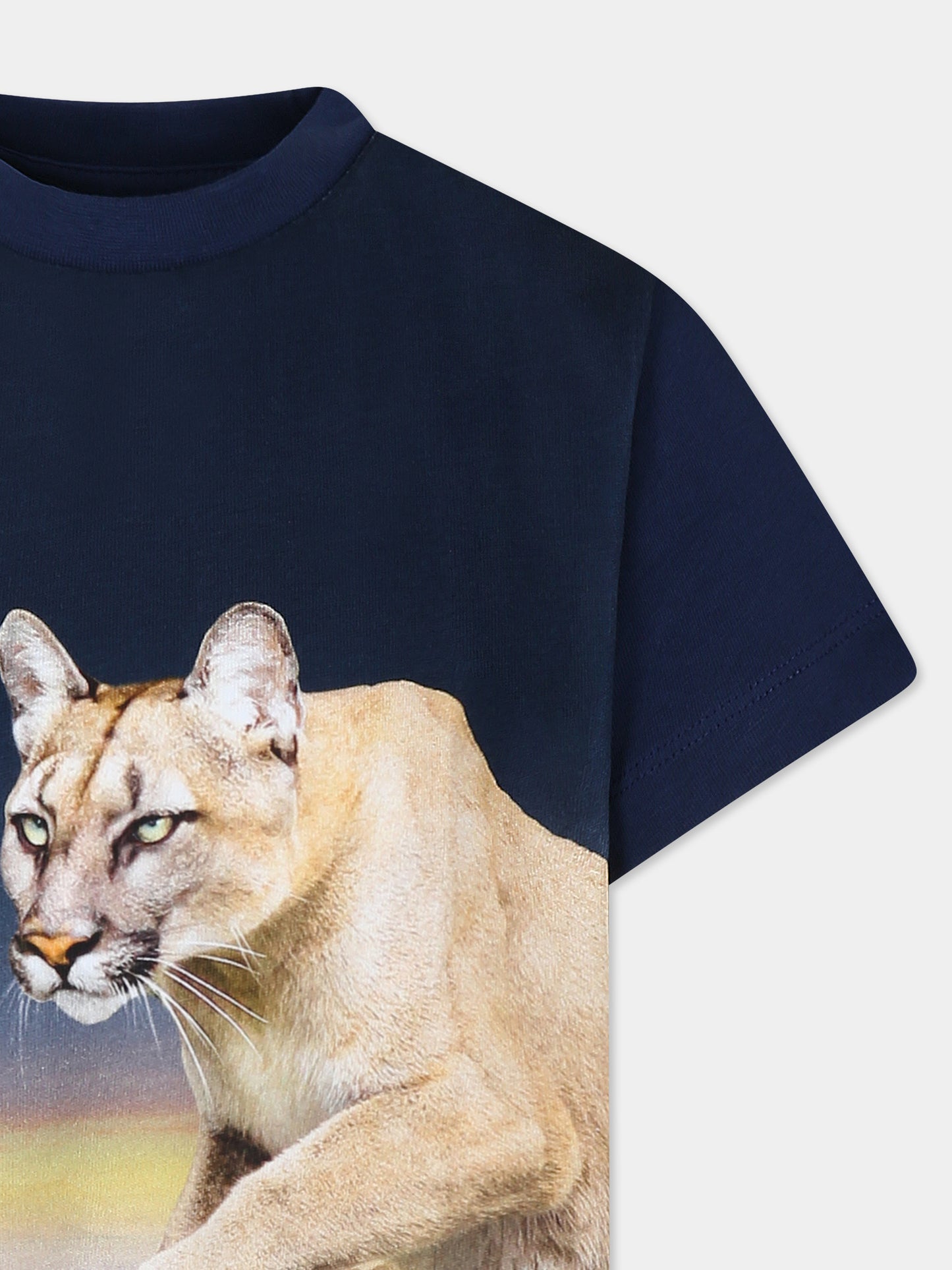 T-shirt blu per bambino con stampa puma