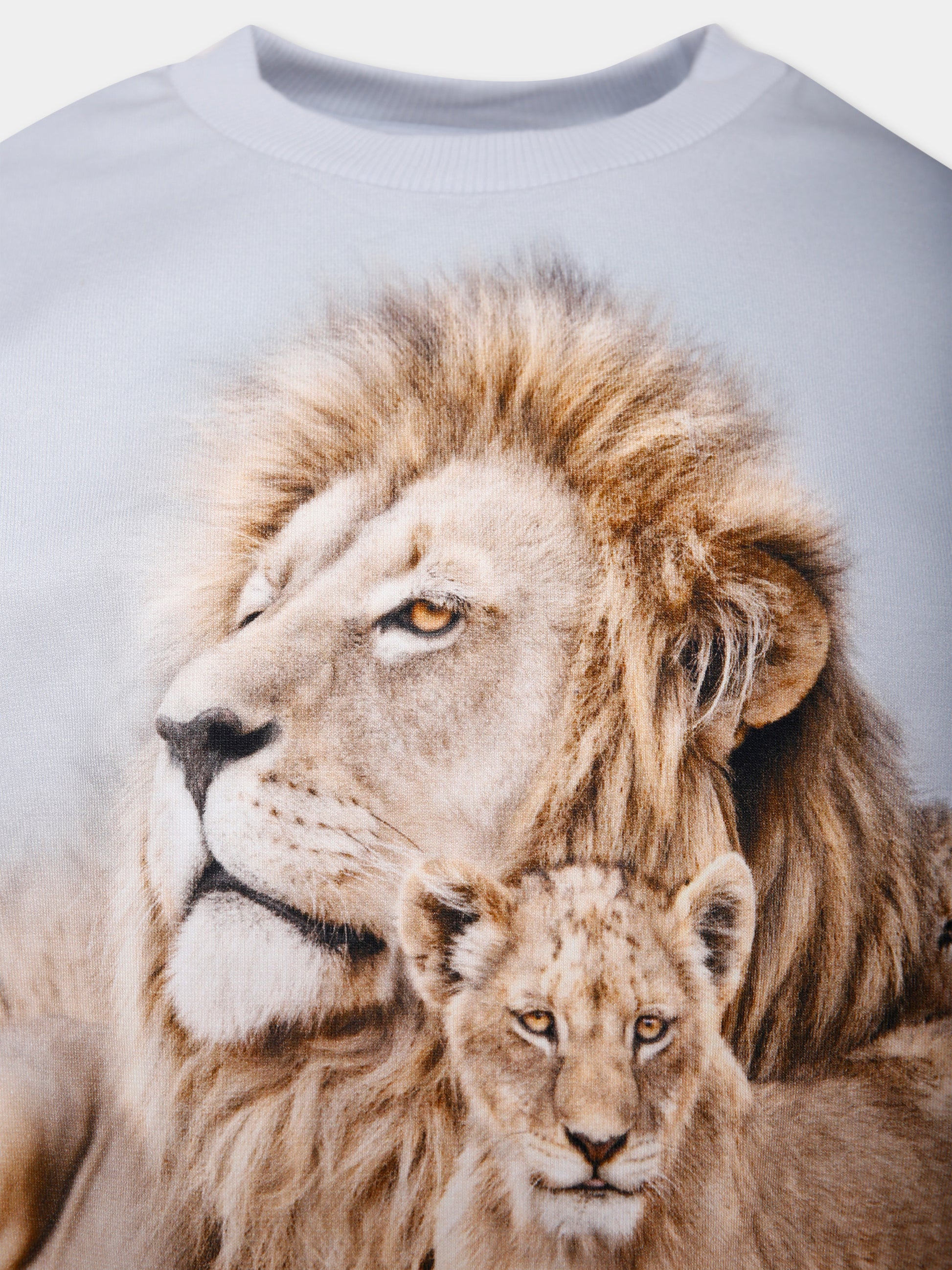 Felpa  Miksi beige per bambino con leoni,Molo,1W25J209 9656