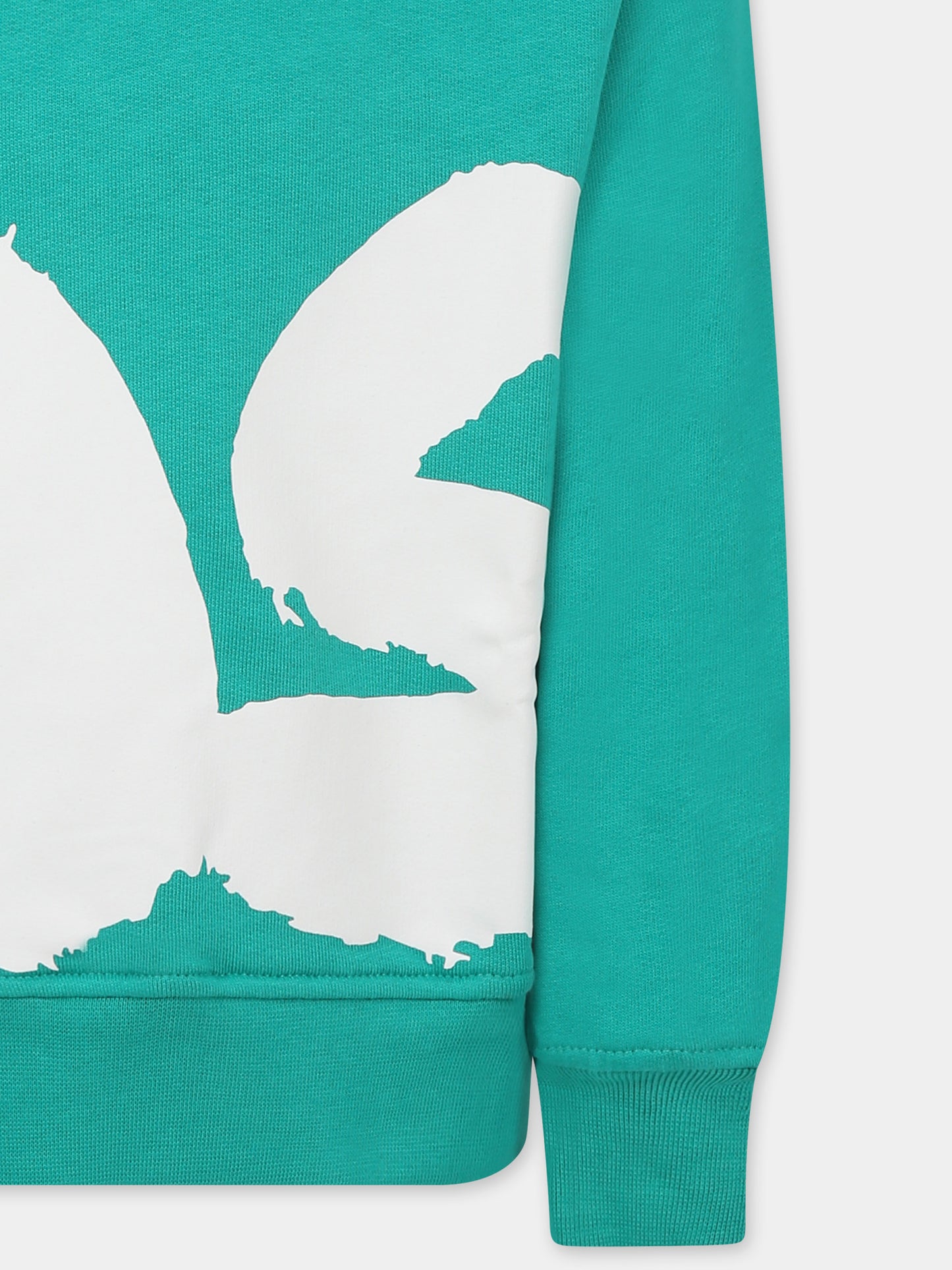 Felpa verde per bambini con logo,Msgm Kids,F4MSJUSW059 080