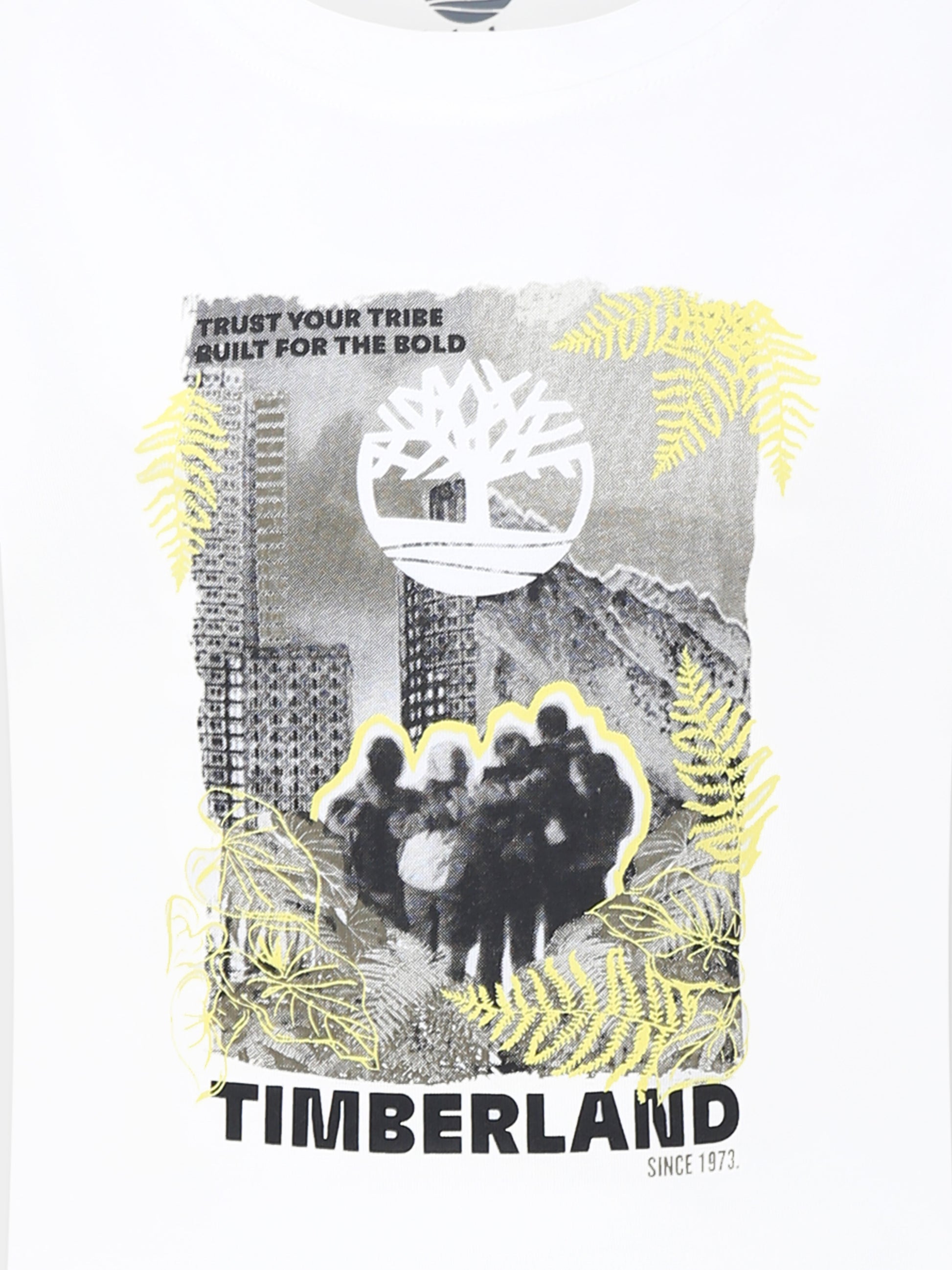 T-shirt bianca per bambino con logo e stampa,Timberland,T60144 10P