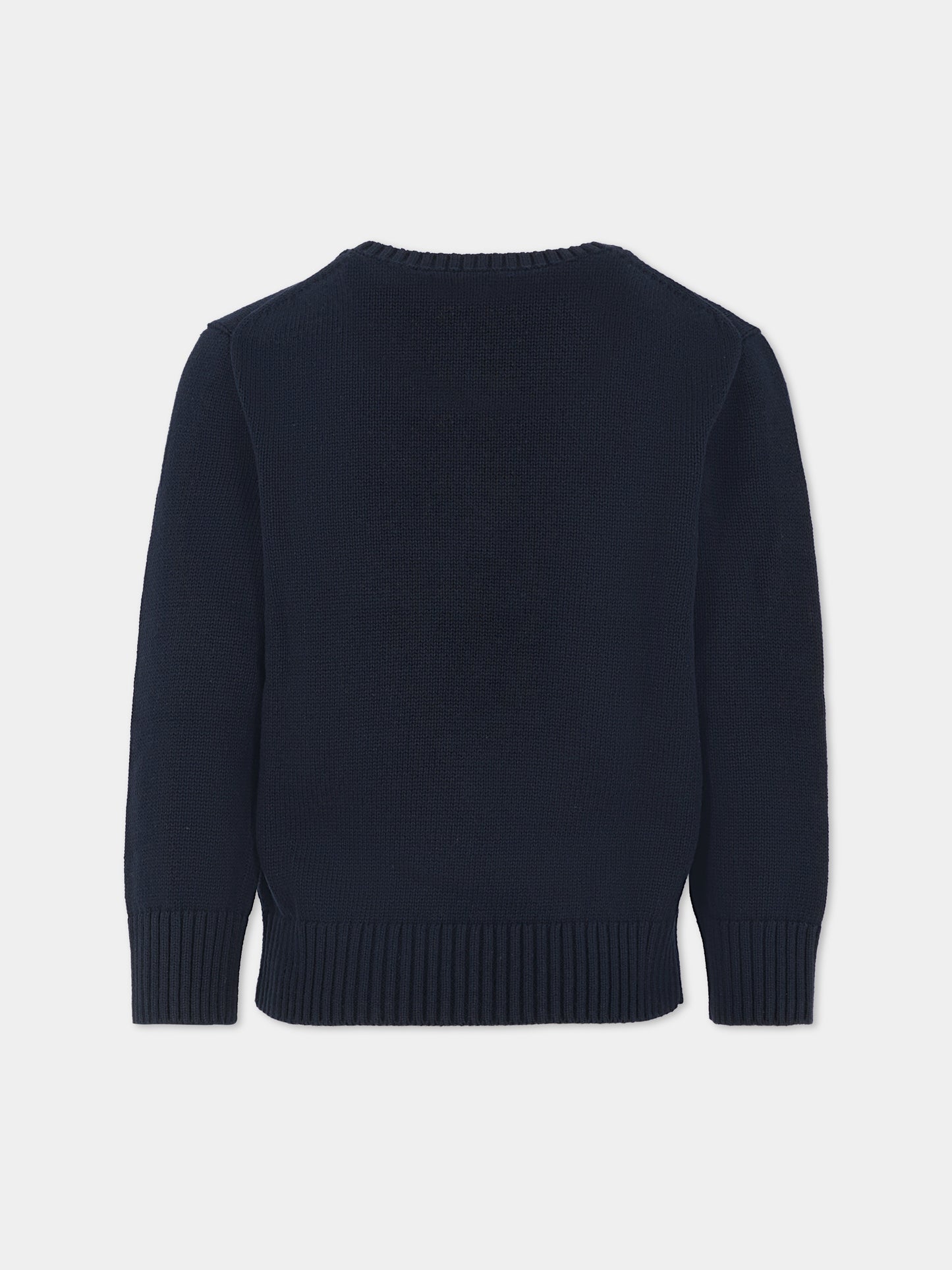 Maglione blu per bambino con cane,Ralph Lauren Kids,978392001