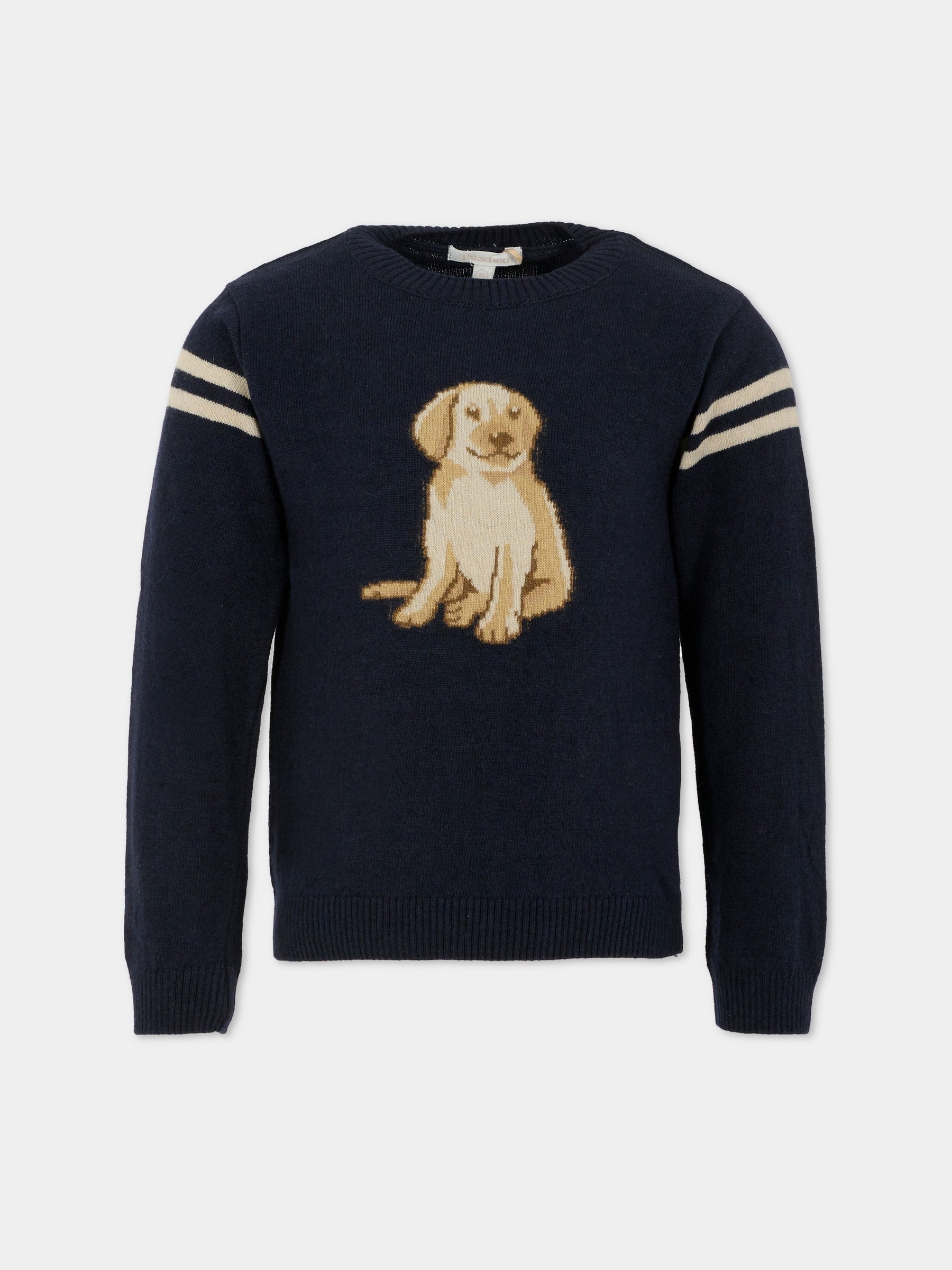 Maglione blu per bambino con cane,Patachou,PAP SWE4133367 360