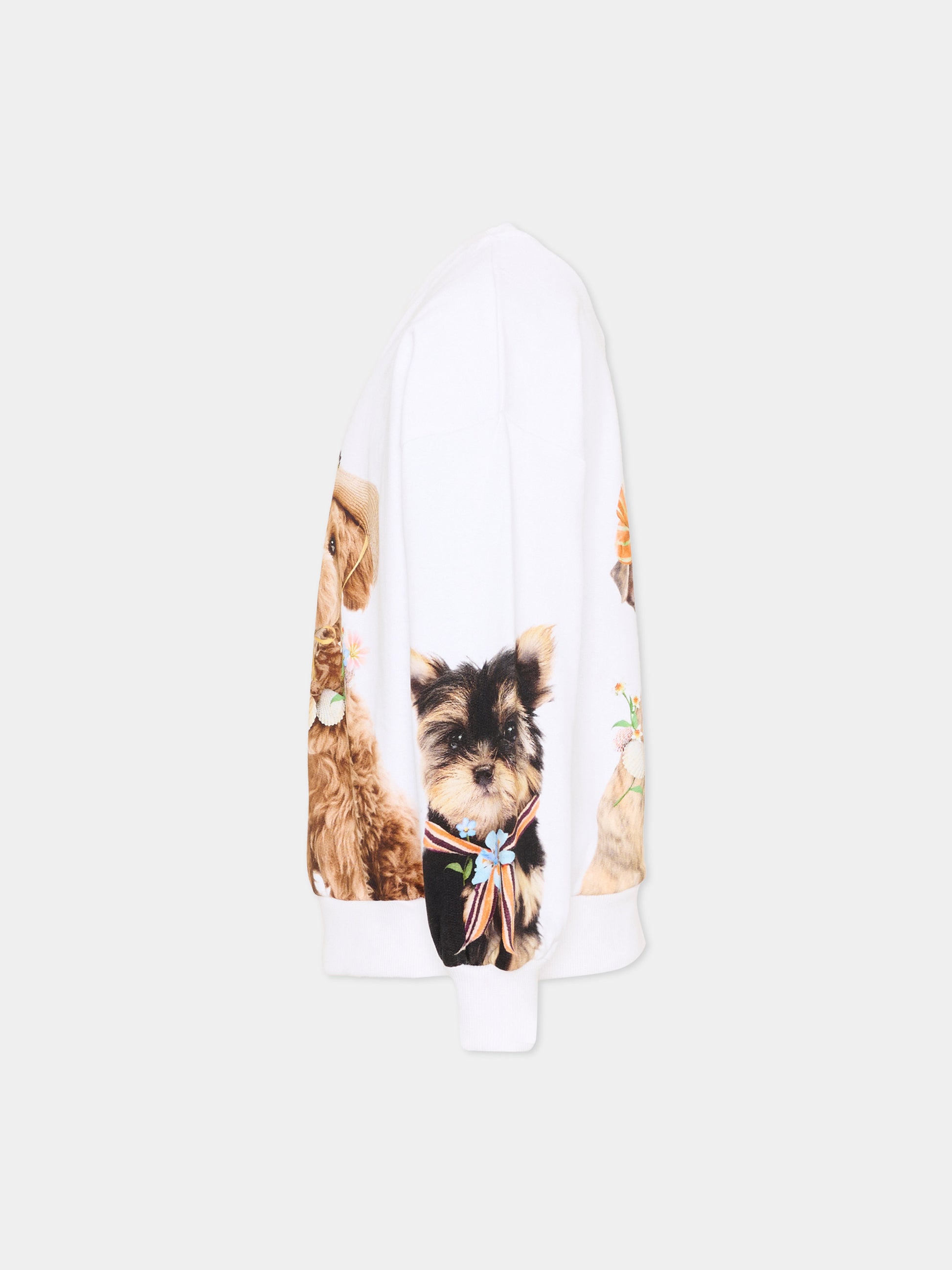 Felpa bianca Maxi per bambina con stampa animali,Molo,2S26J204 5698