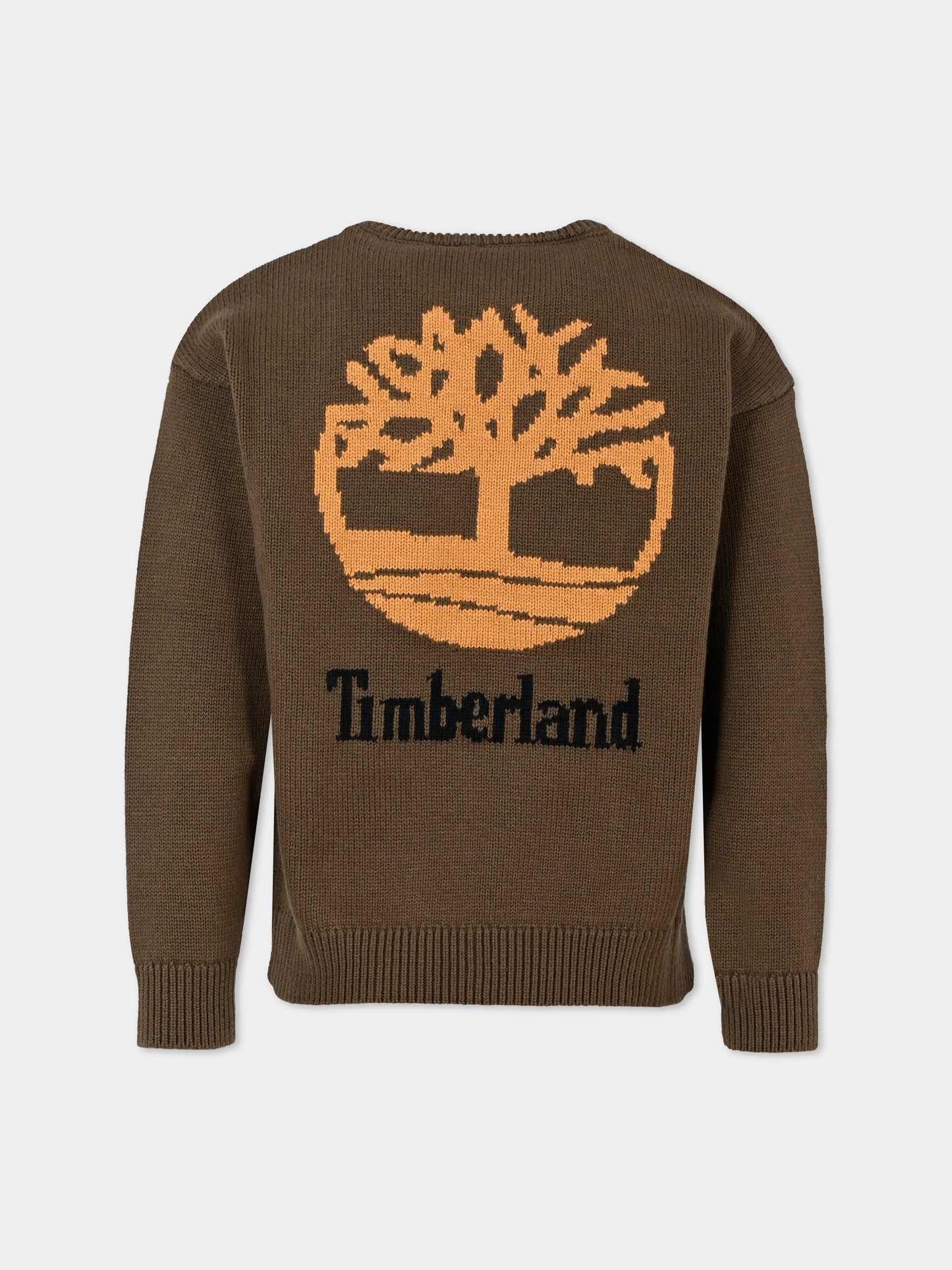 Maglione verde per bambino con logo,Timberland,T60321 64J