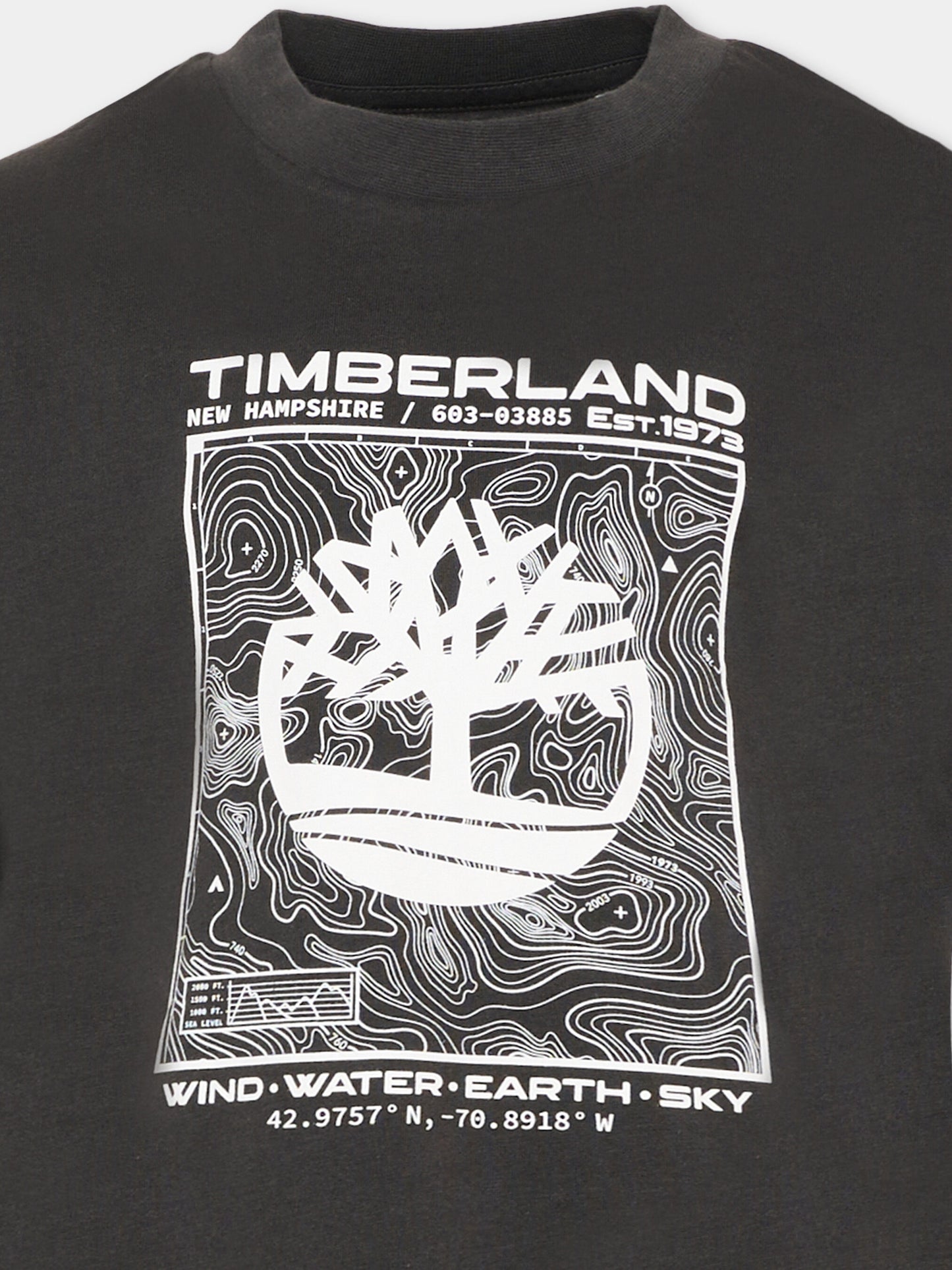 T-shirt grigia per bambino con stampa logo,Timberland,T60794 066