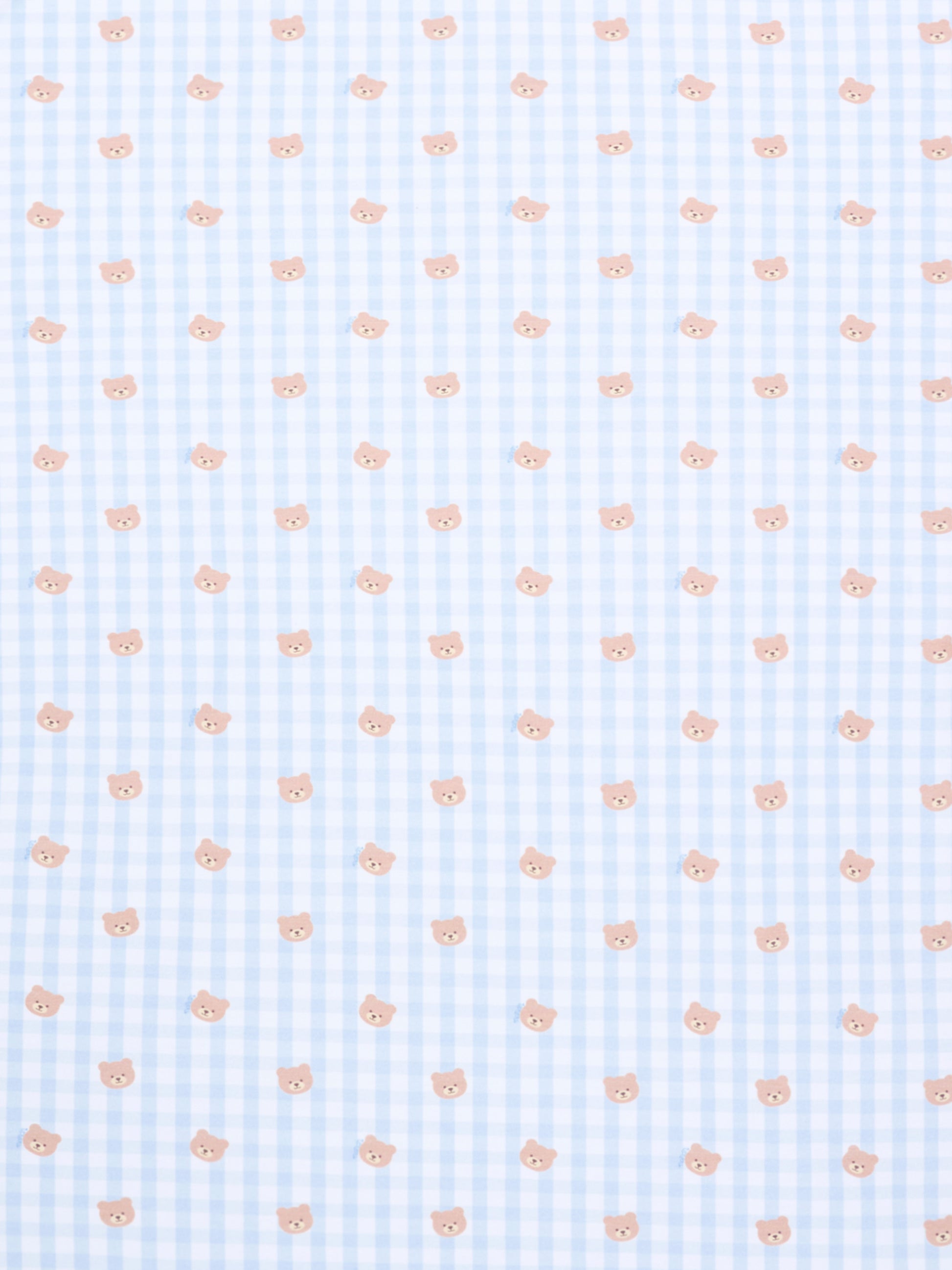 Coperta azzurra per neonato con teddy bear,Nanán,E26022A