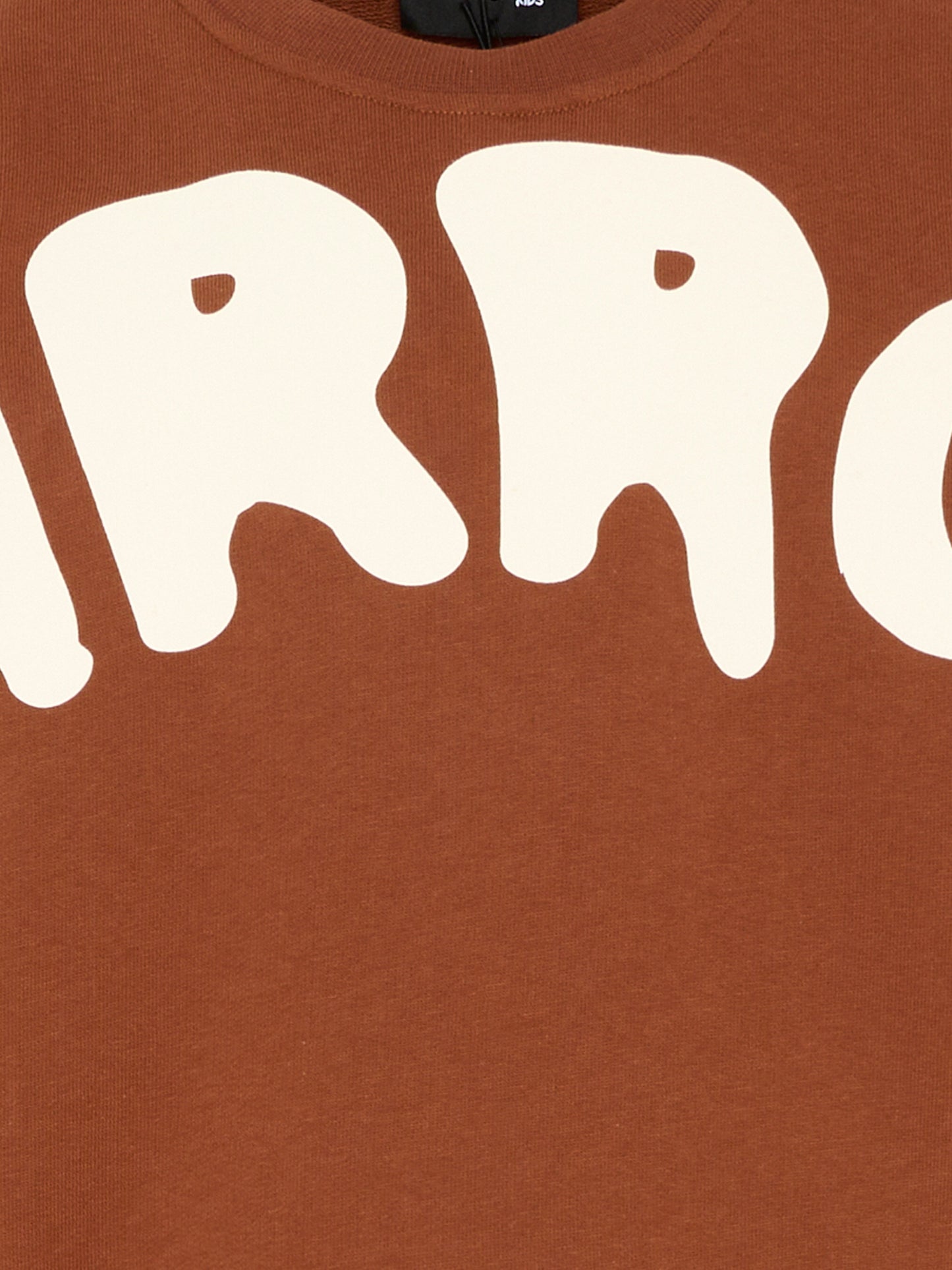 Felpa marrone Barrow per bambini con logo,Barrow,S6BKJUSW016 920