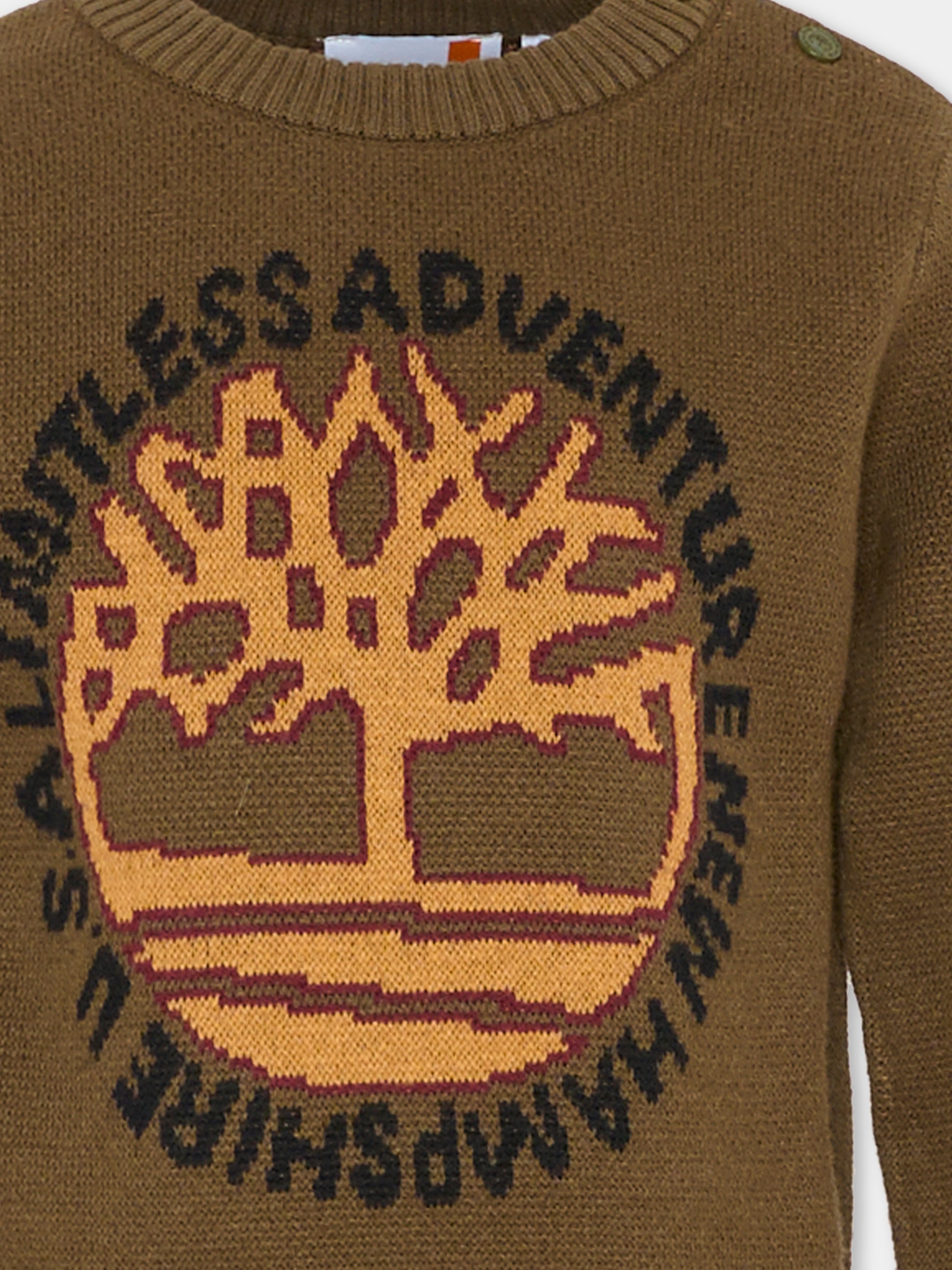 Maglione verde per bambino con logo e albero,Timberland,T60263 64J