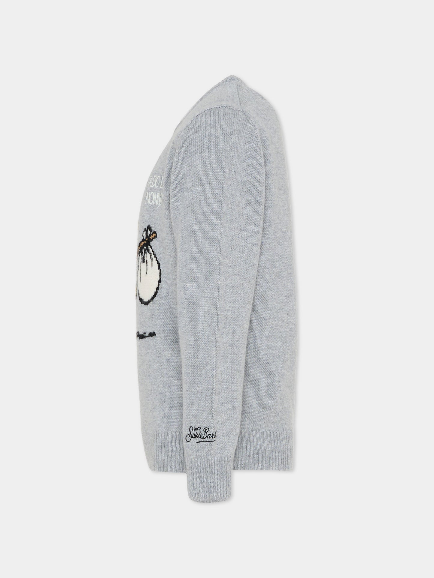 Maglione grigio per bambino con Woodstock,Mc2 Saint Barth,DOU0001 00077I