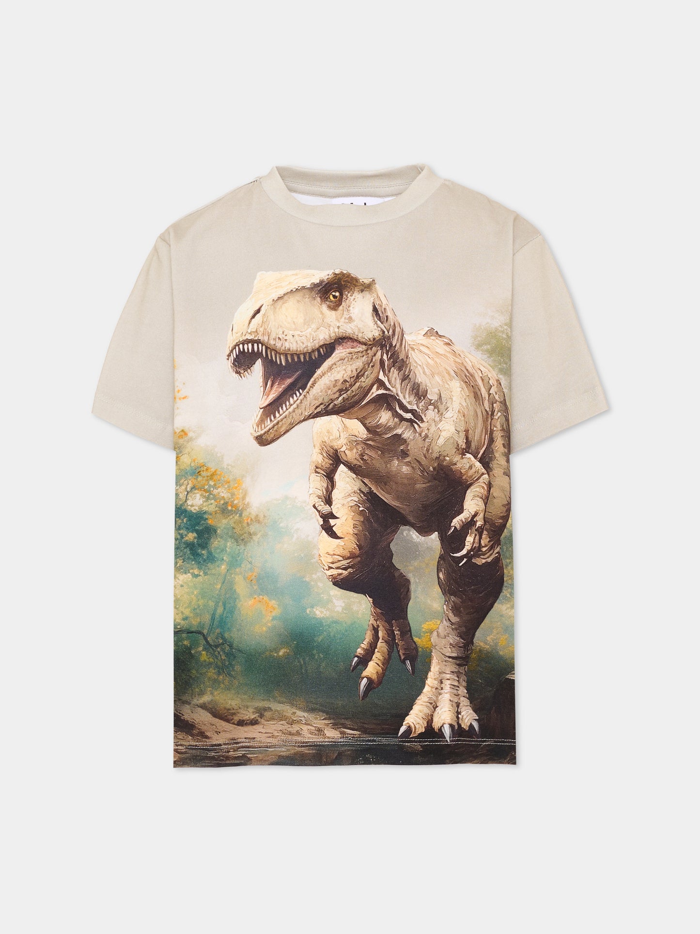 T-shirt a manica corta beige Riley per bambino con dinosauro,Molo,1W26A203 9944