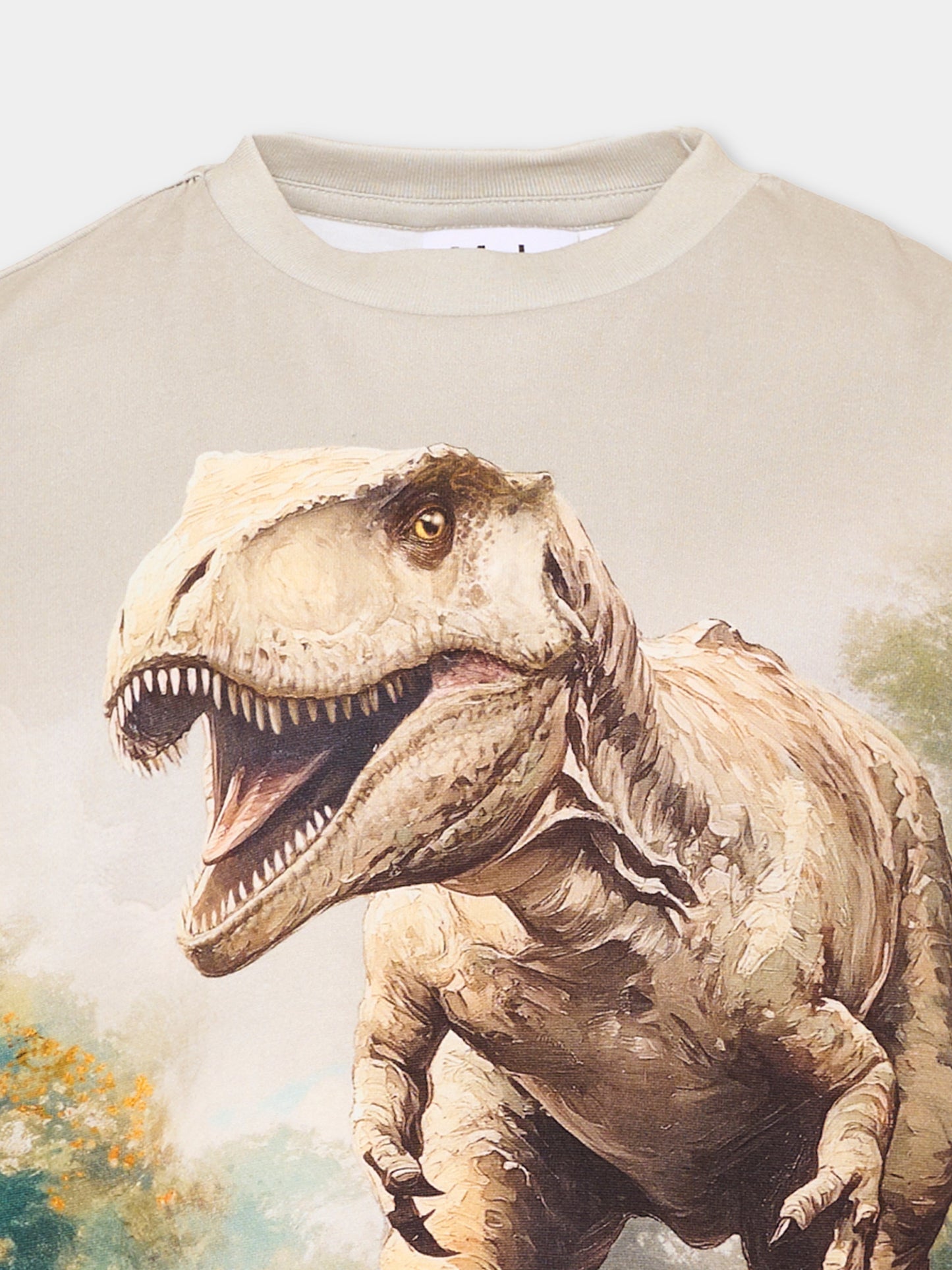 T-shirt a manica corta beige Riley per bambino con dinosauro,Molo,1W26A203 9944