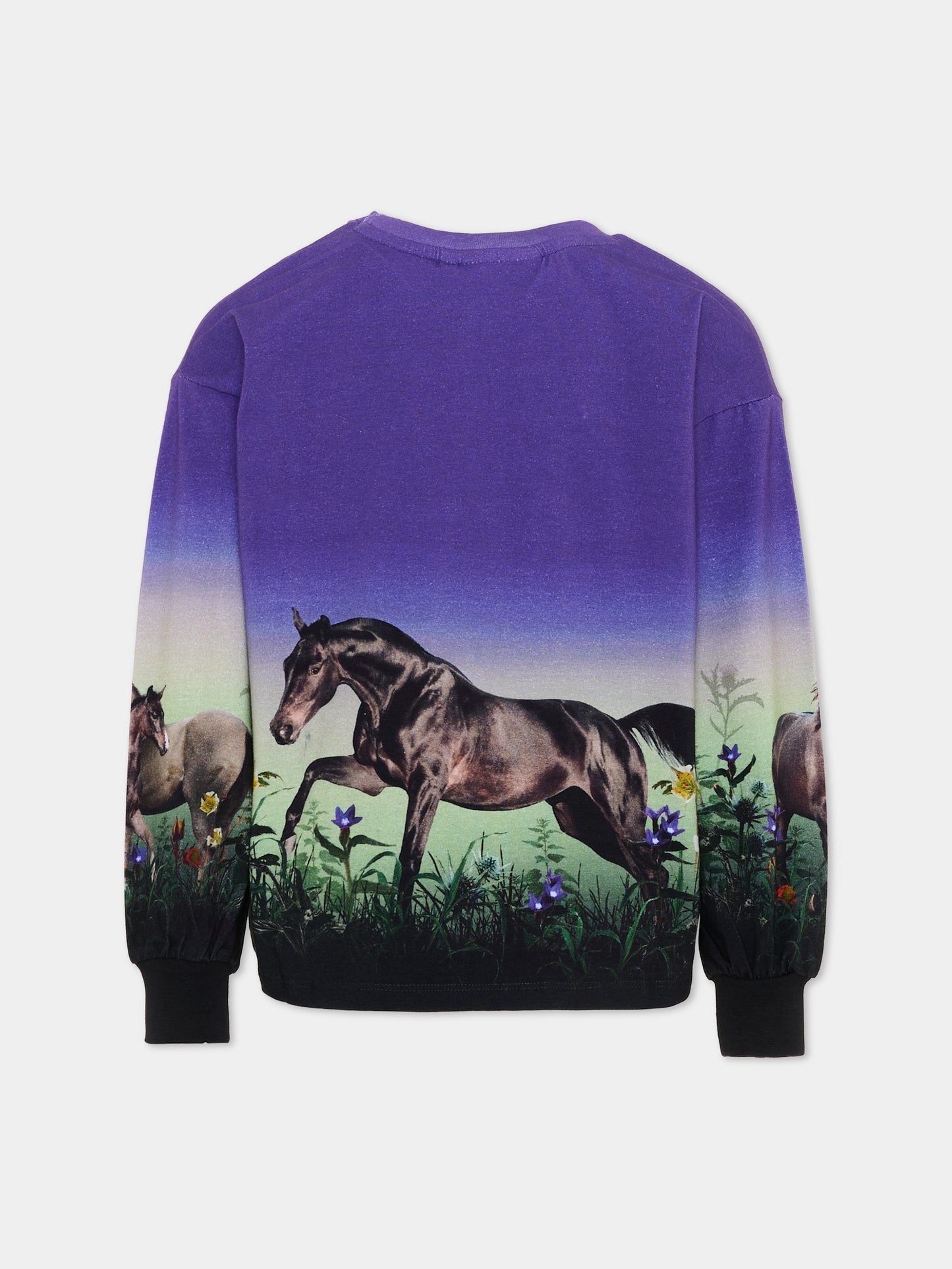 T-shirt viola Reniza per bambina con cavalli,Molo,2W26A407 5771
