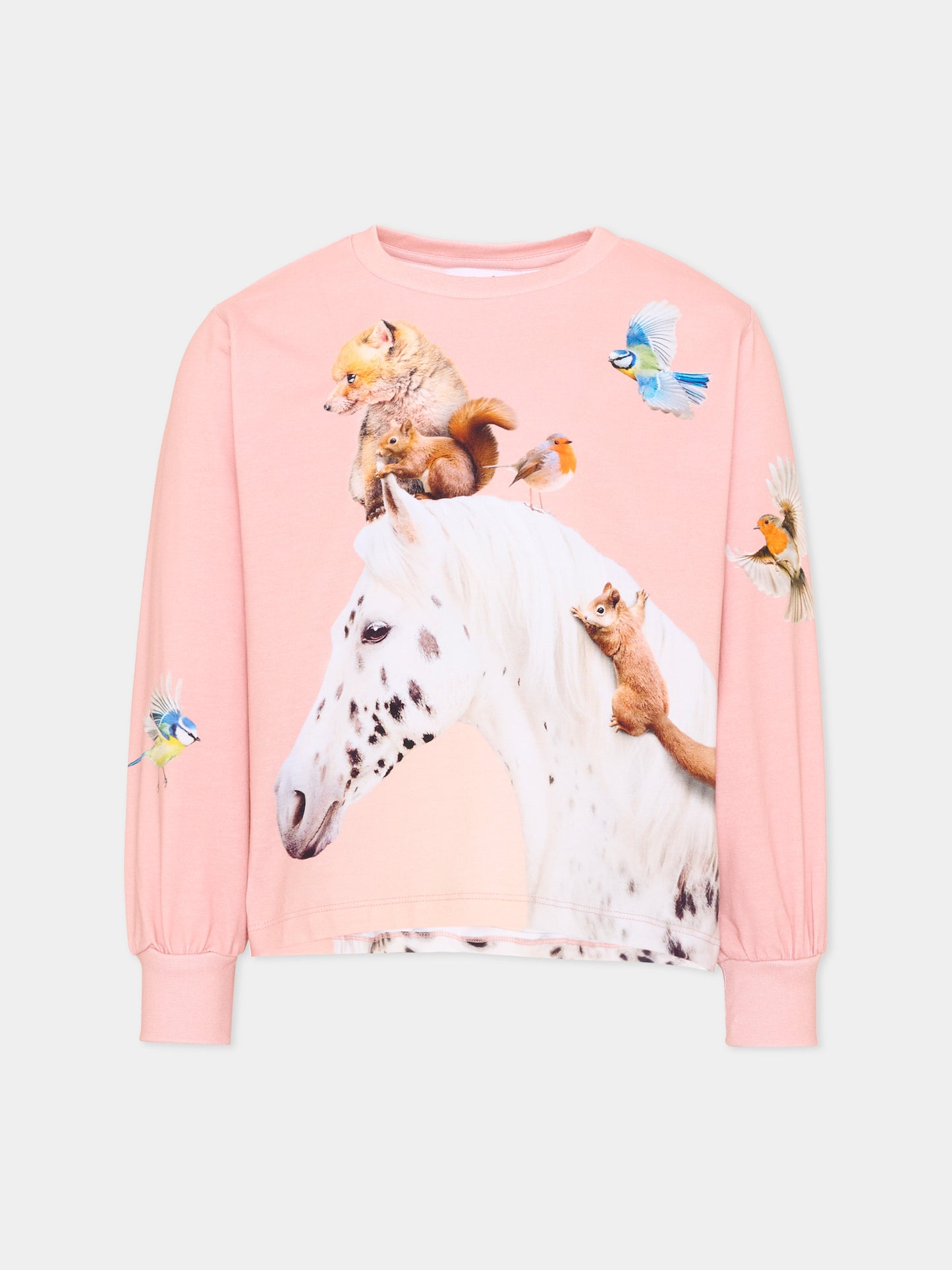 T-shirt a manica lunga rosa Raffy per bambina con stampa animali,Molo,2W26A411 5751