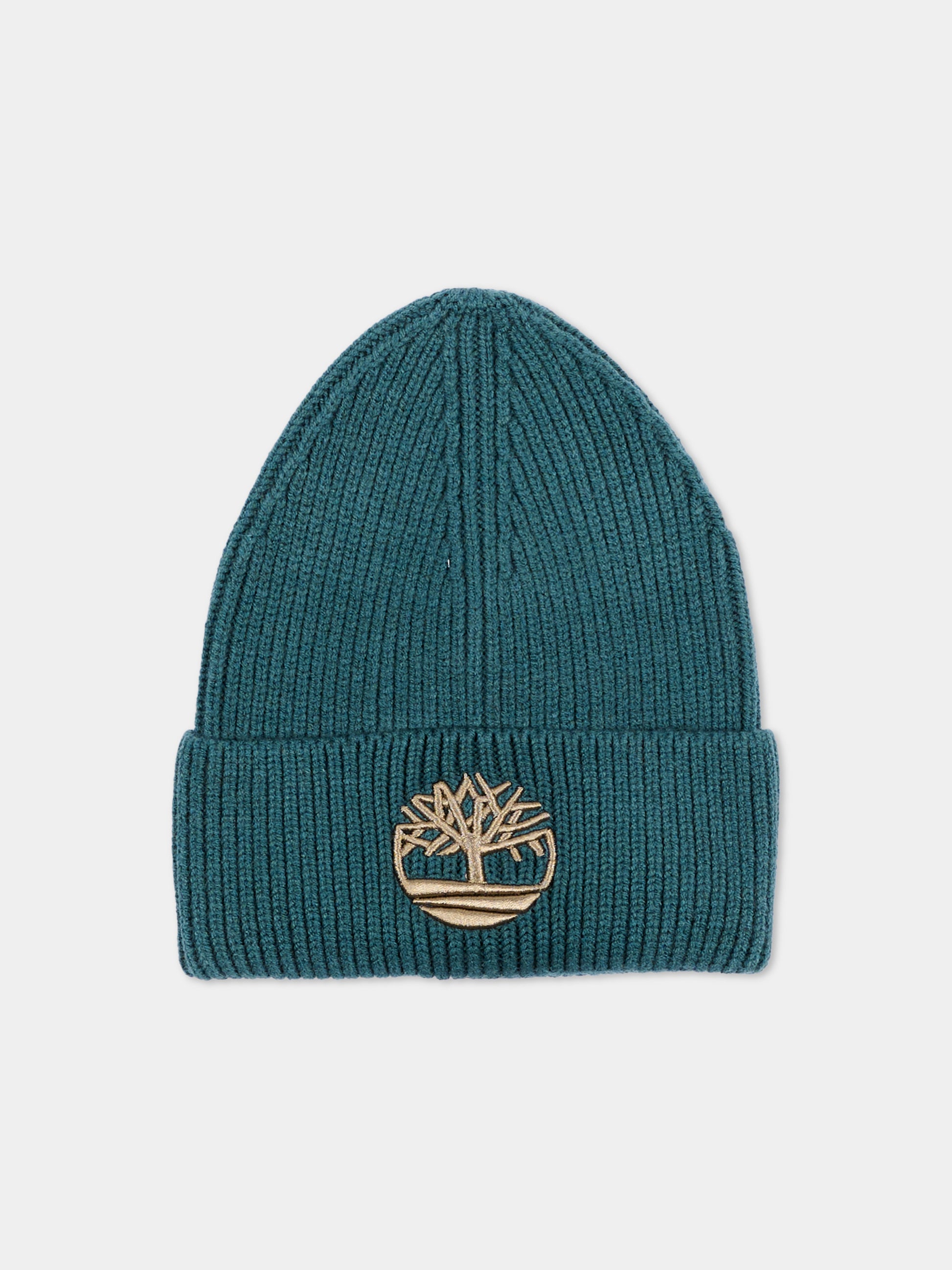 Berretto verde con logo,Timberland,T61097 68R