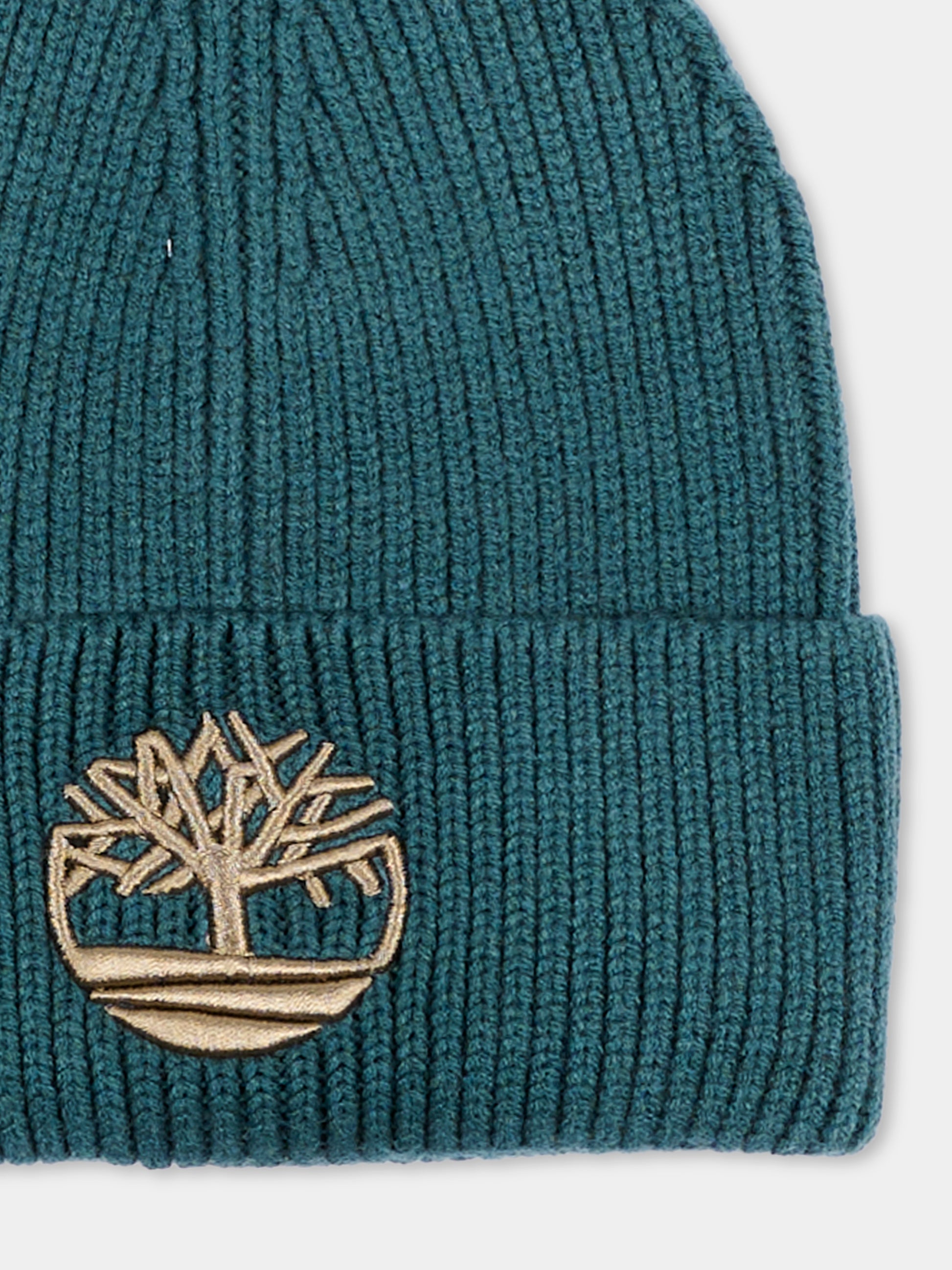 Berretto verde con logo,Timberland,T61097 68R