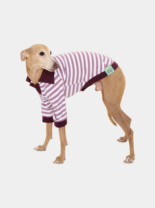 Tutina Ettore viola per cani rigata,Zigzagoo,ETTORE PURPLE