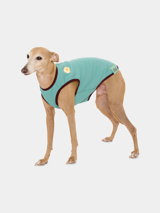 Tutina Ludovica verde per cani con patch,Zigzagoo,LUDOVICA VERDE