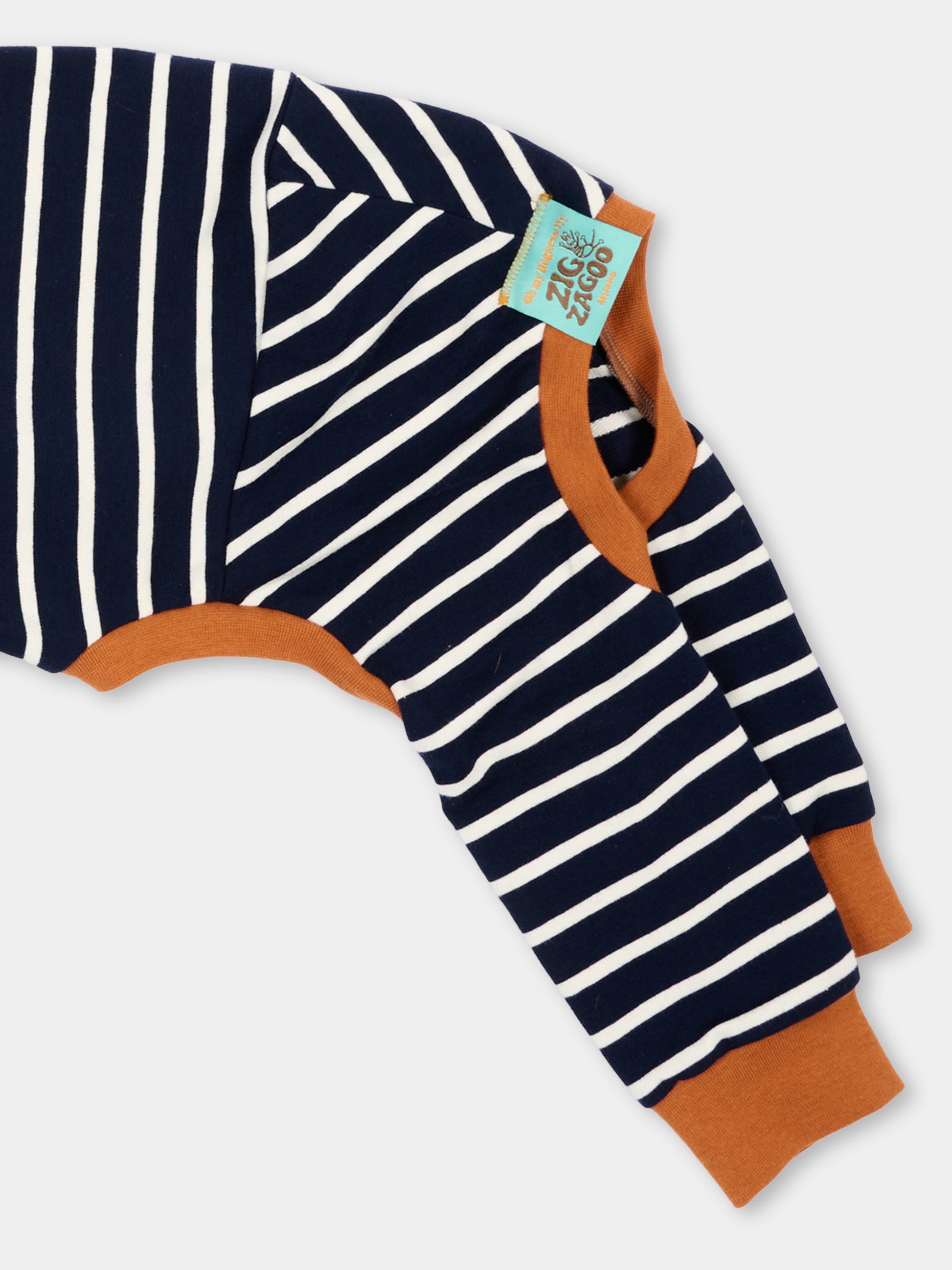 Tutina Rascal a quattro zampe per cani a righe,Zigzagoo,RASCAL BLU