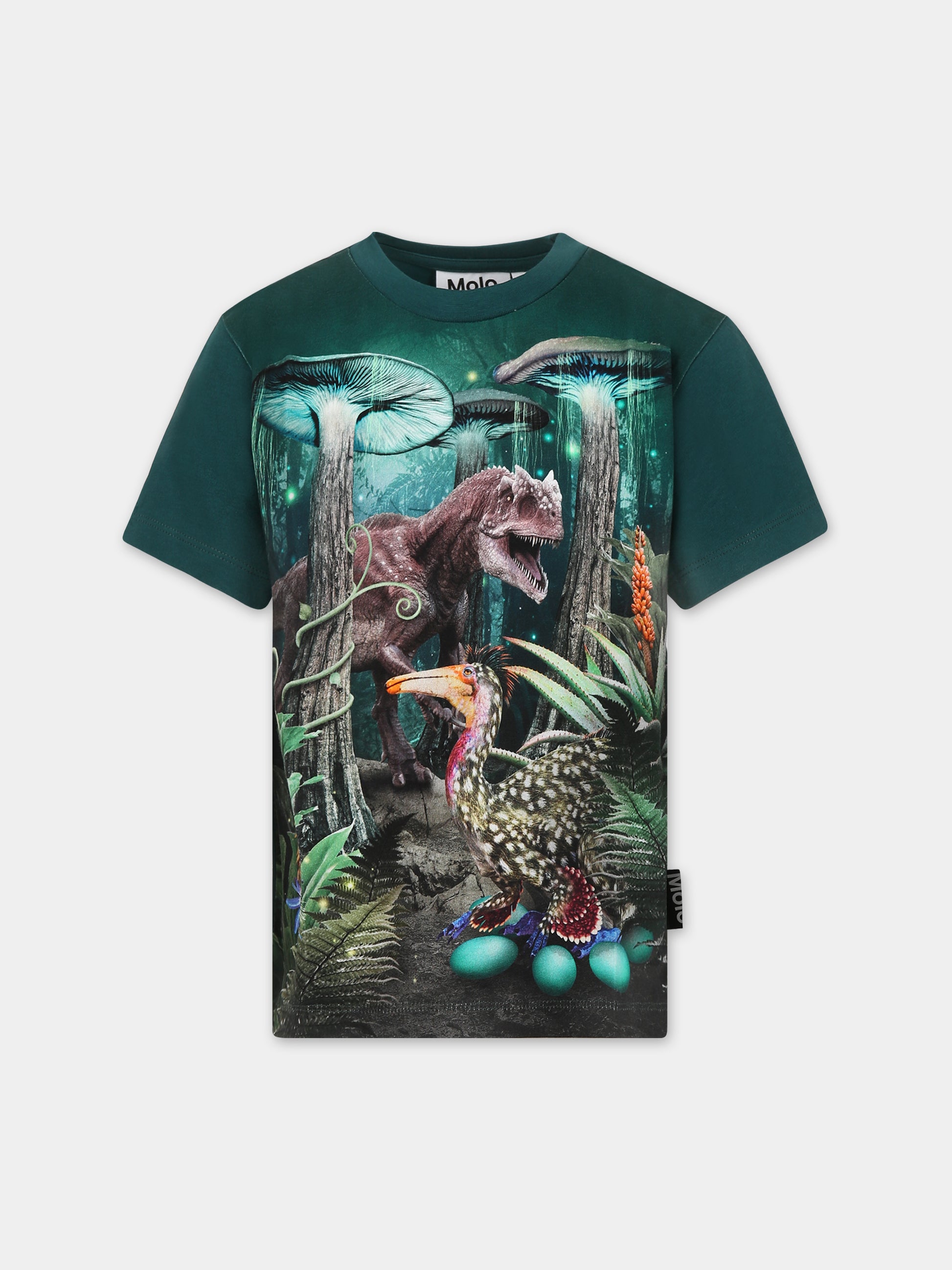 T-shirt verde per bambino con dinosauri,Molo,1W23A202 3333