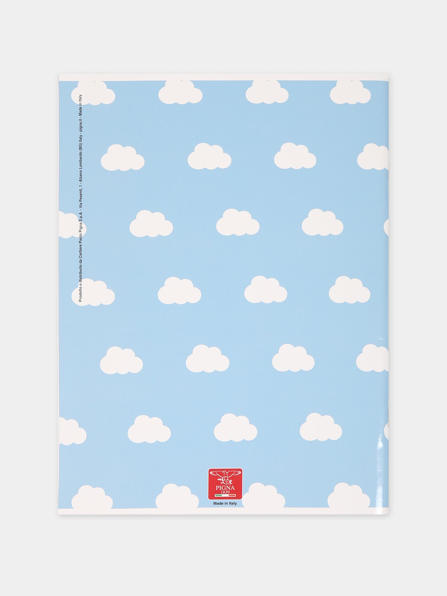 Quaderni Pigna x Cocccolebimbi rosa e verde,Pigna X Coccolebimbi,CELESTE E GIALLO