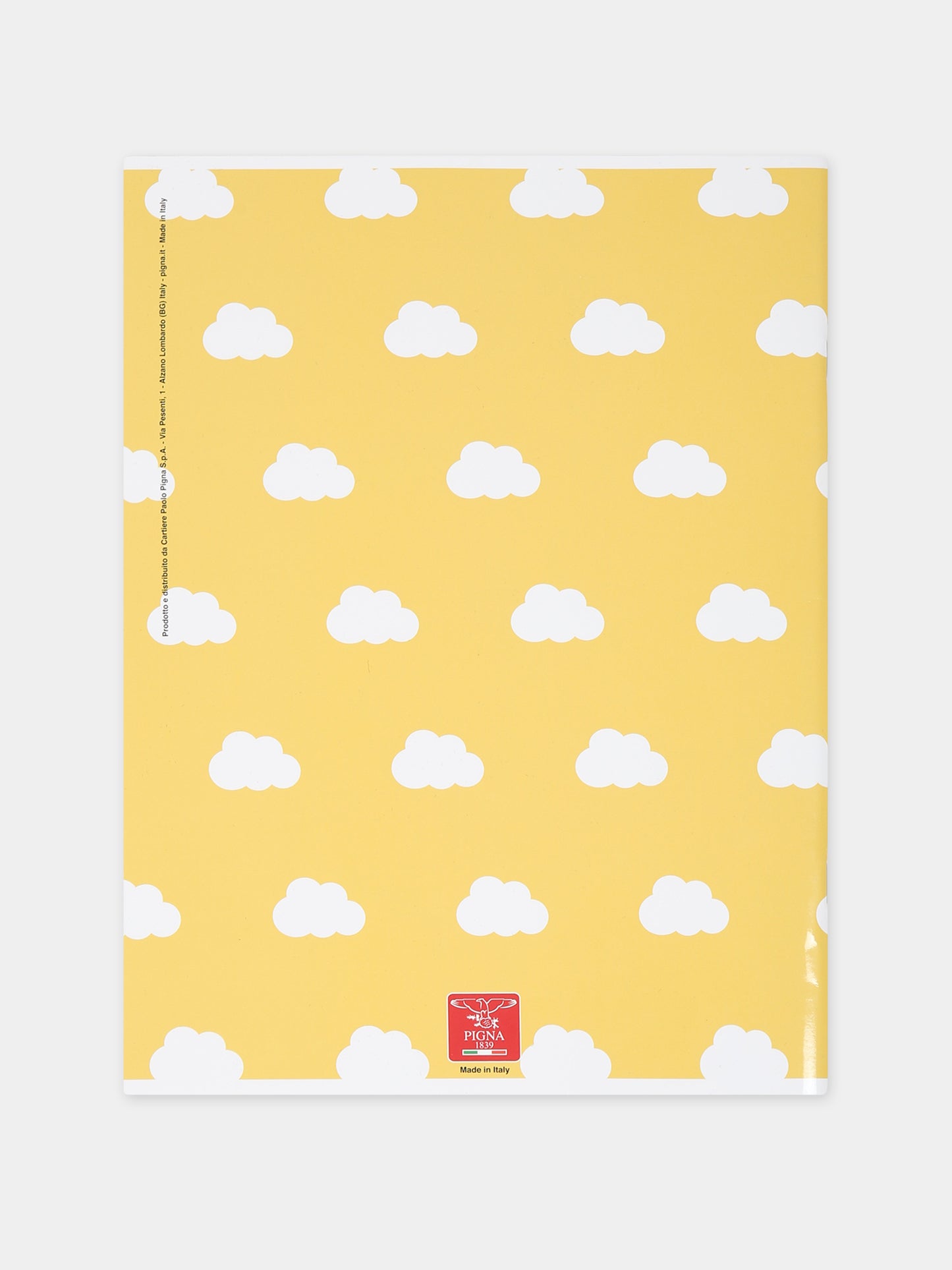 Quaderni Pigna x Cocccolebimbi rosa e verde,Pigna X Coccolebimbi,CELESTE E GIALLO