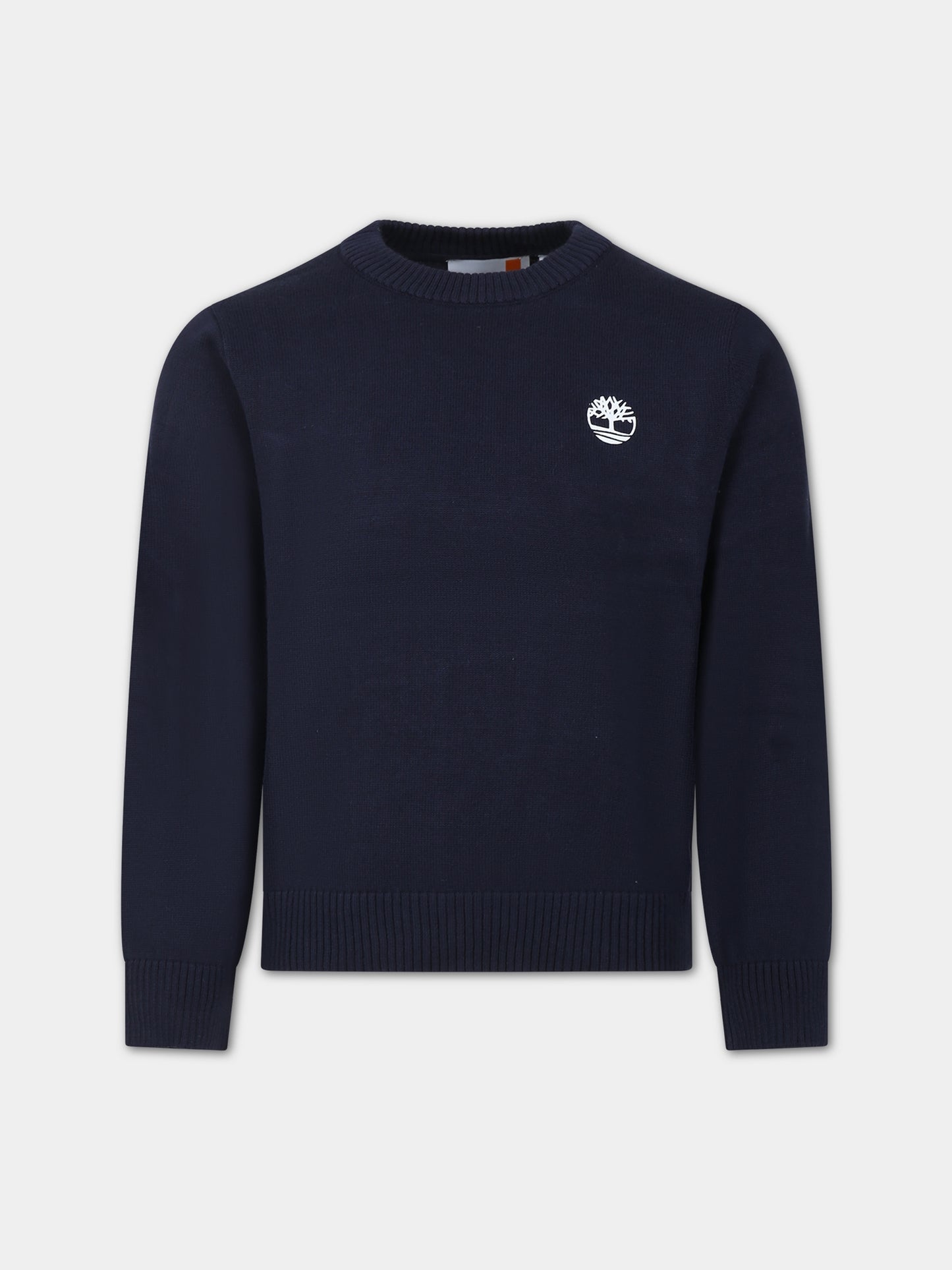 Maglione blu per bambino,Timberland,T25U49 857