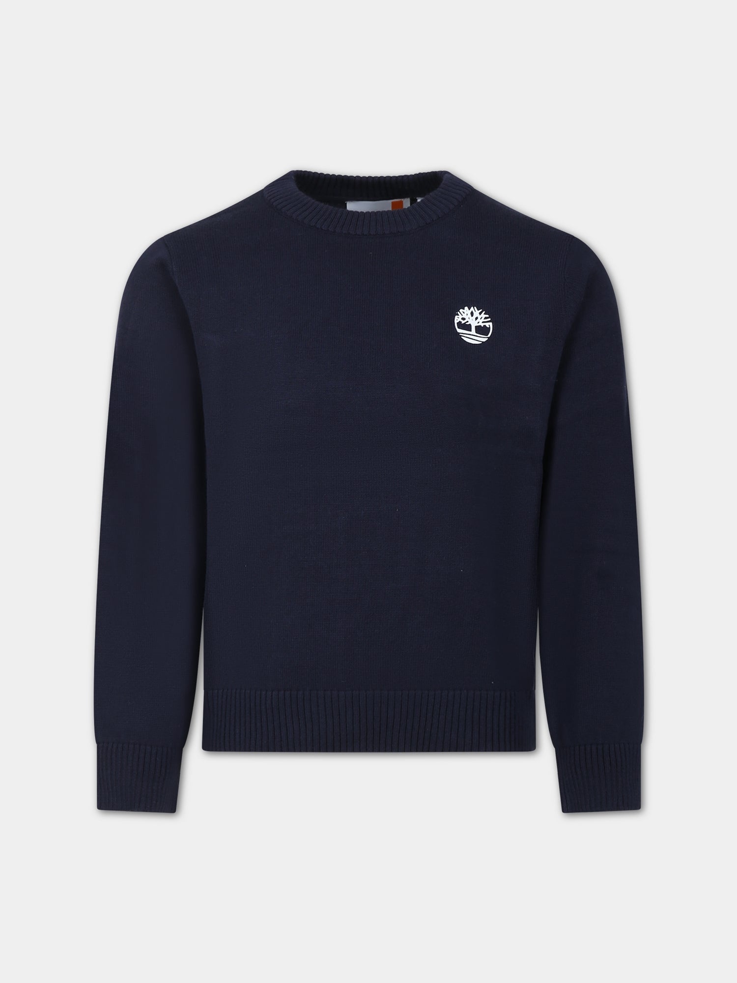 Maglione blu per bambino,Timberland,T25U49 857