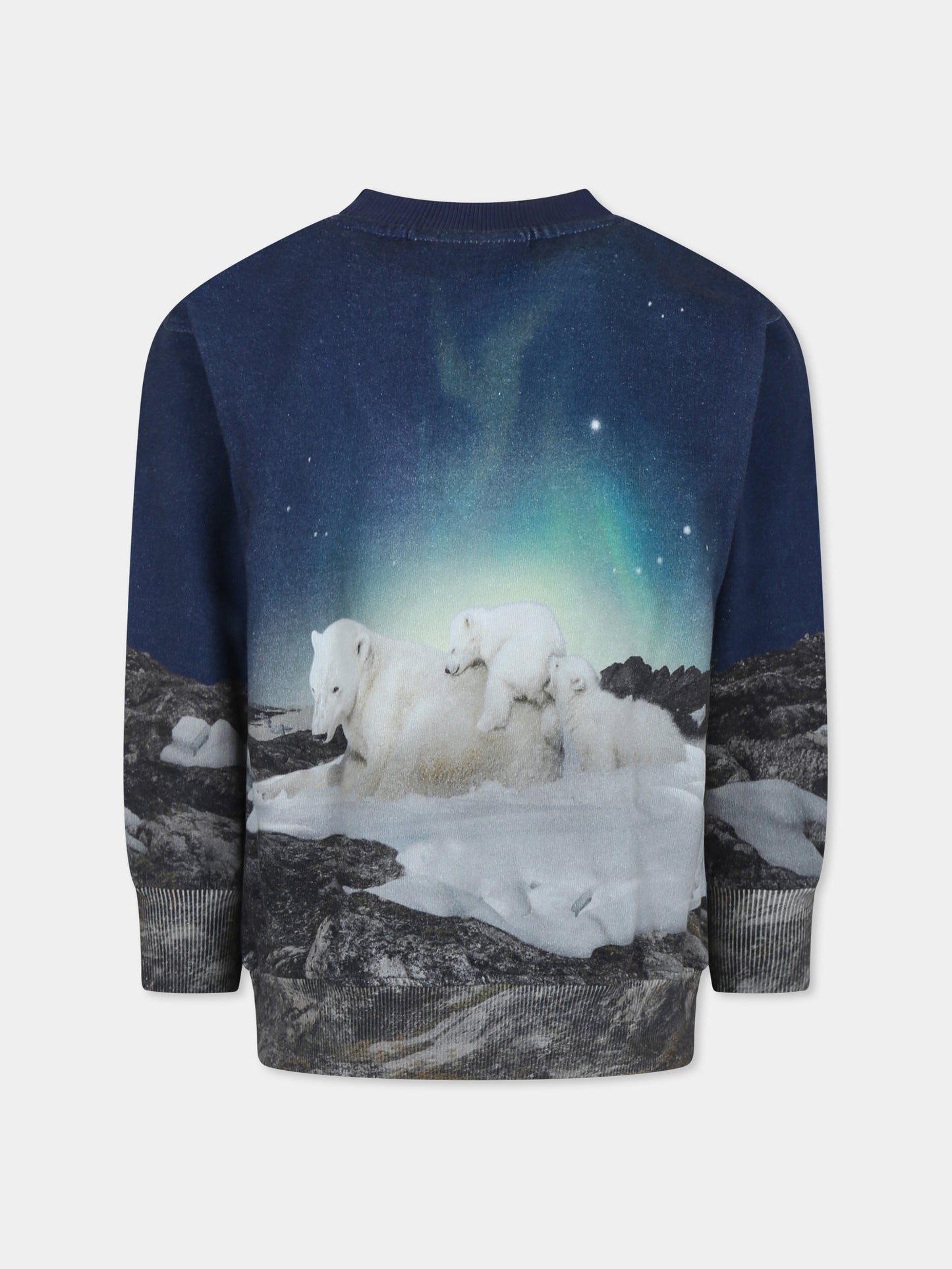 Felpa blu Mattis per bambino con stampa orso polare,Molo,1W24J201 3705