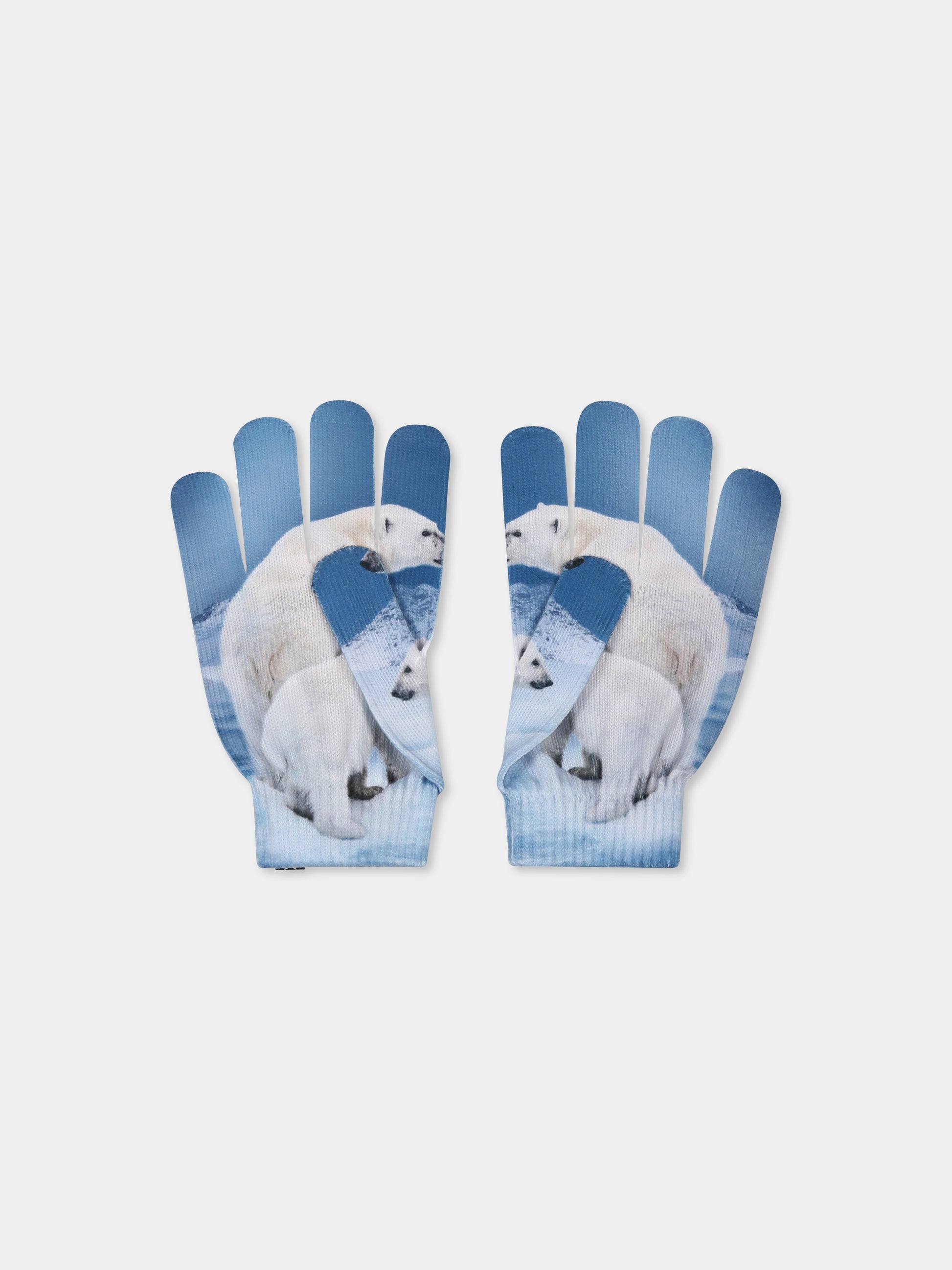 Set accessori celeste Kaya per bambino con stampa orso polare,Molo,7W24S901 9190