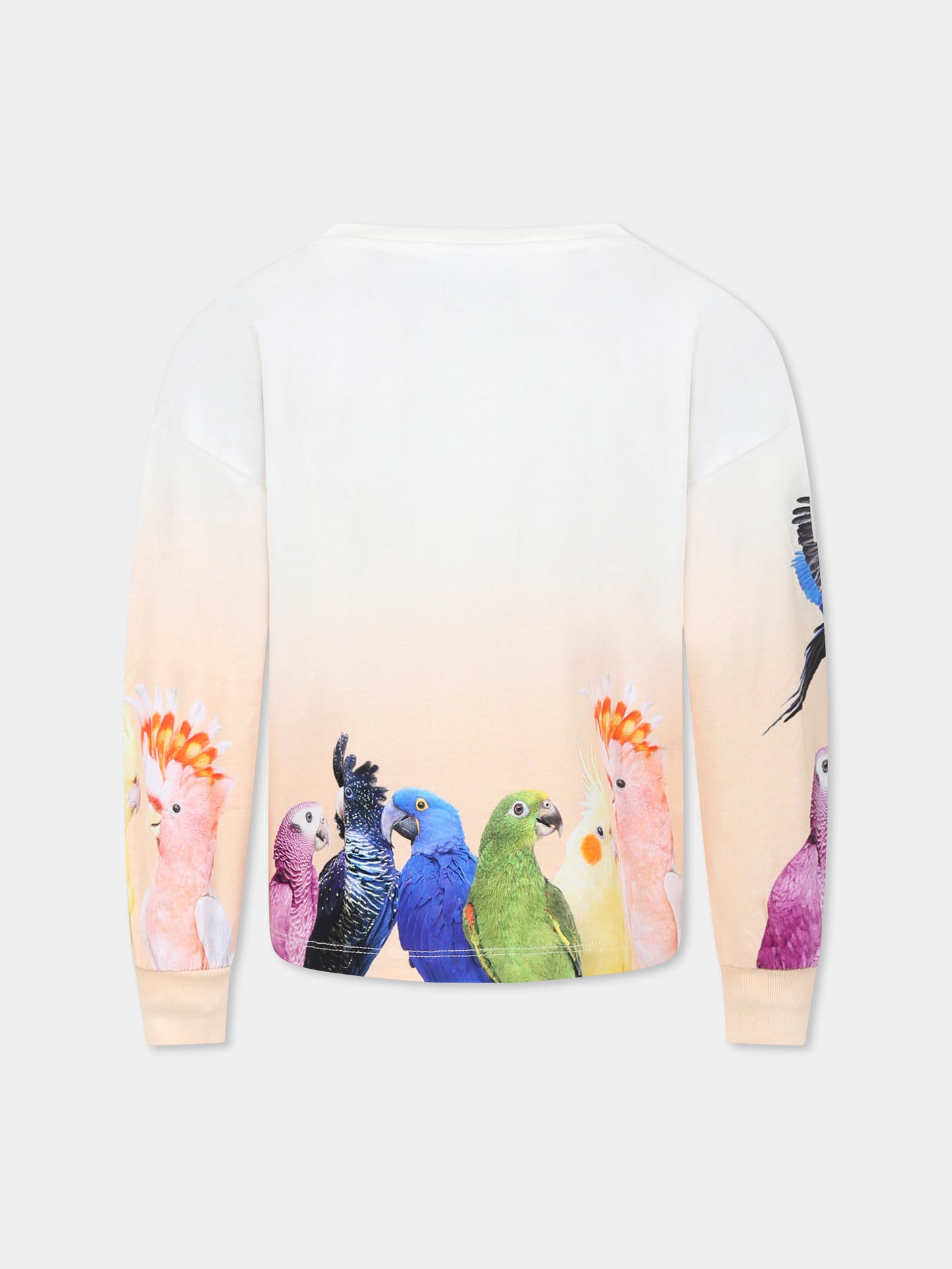 T-shirt Reniza avorio per bambina con pappagalli,Molo,2S25A402 3835