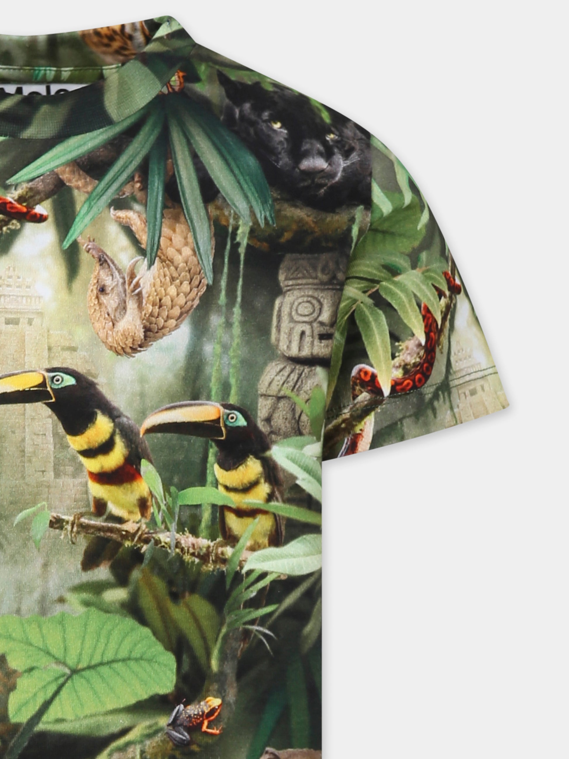 T-shirt Ralphie verde per bambino con animali della giungla,Molo,1S25A208 9290