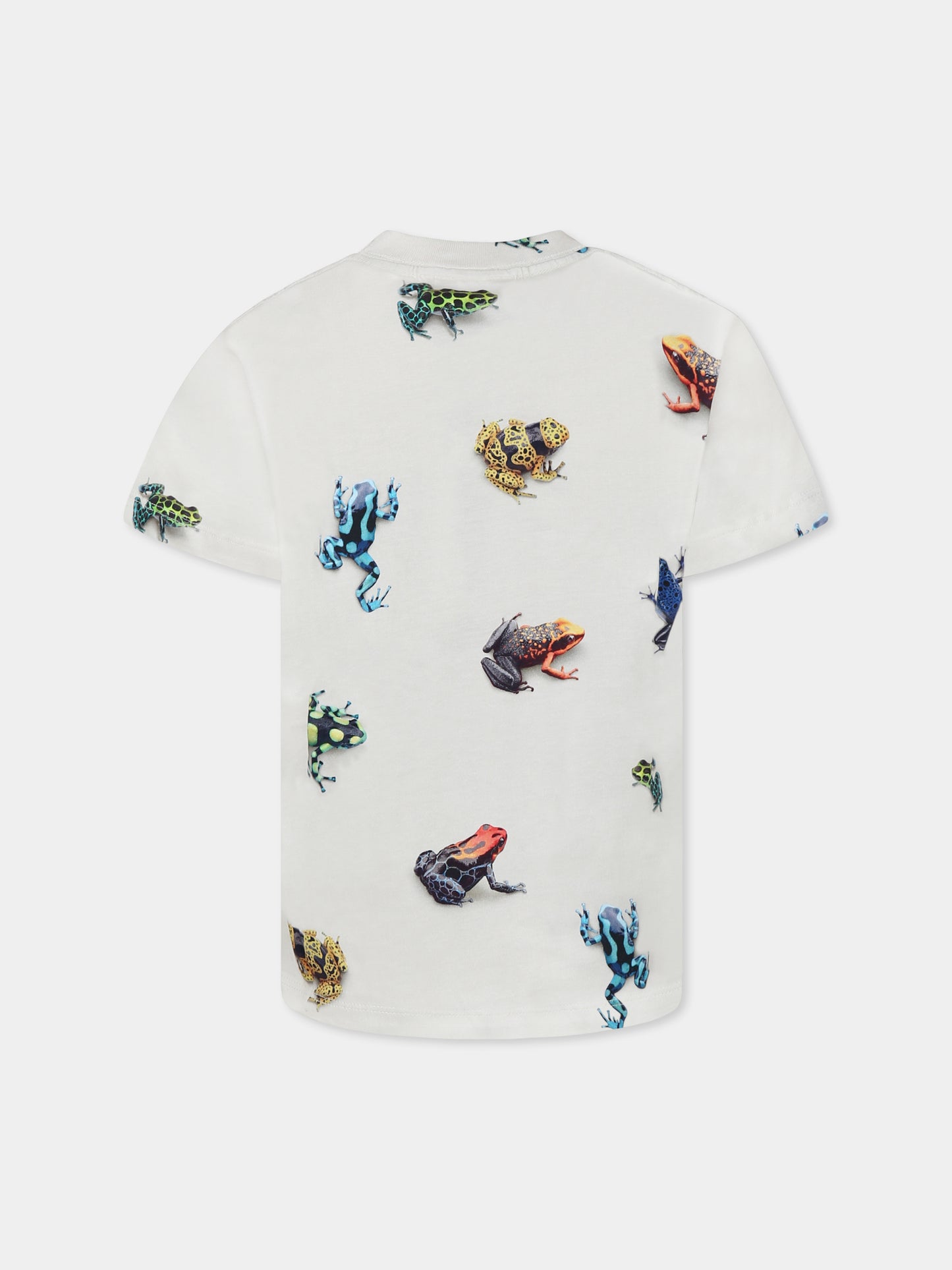 T-shirt Roxo avorio per bambino con rane all-over,Molo,1S25A210 9311