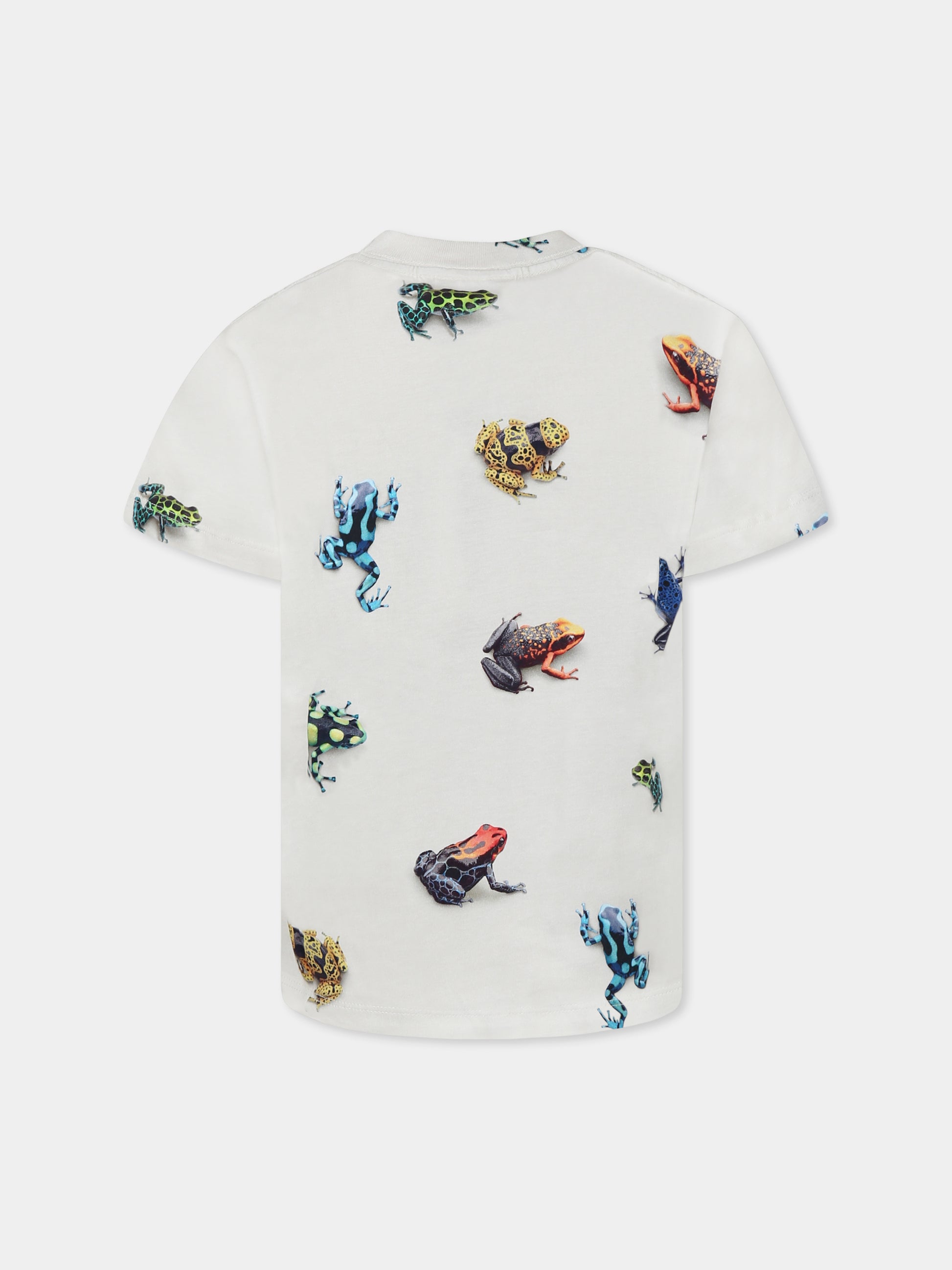 T-shirt Roxo avorio per bambino con rane all-over,Molo,1S25A210 9311