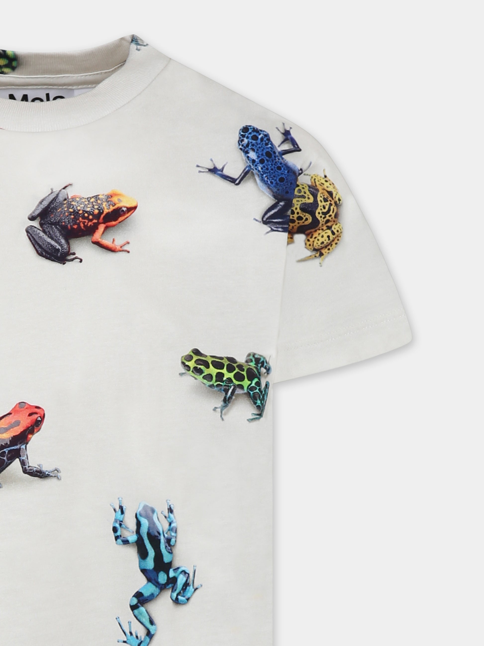T-shirt Roxo avorio per bambino con rane all-over,Molo,1S25A210 9311