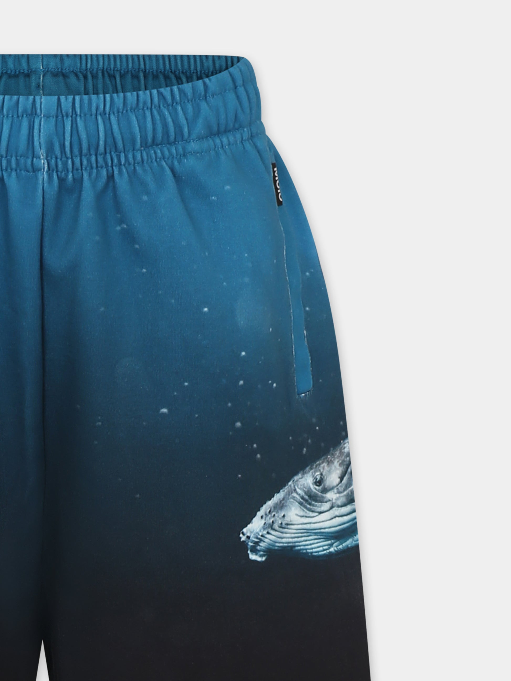 Shorts Amil azzurri per bambino con balena,Molo,1S25H207 3871