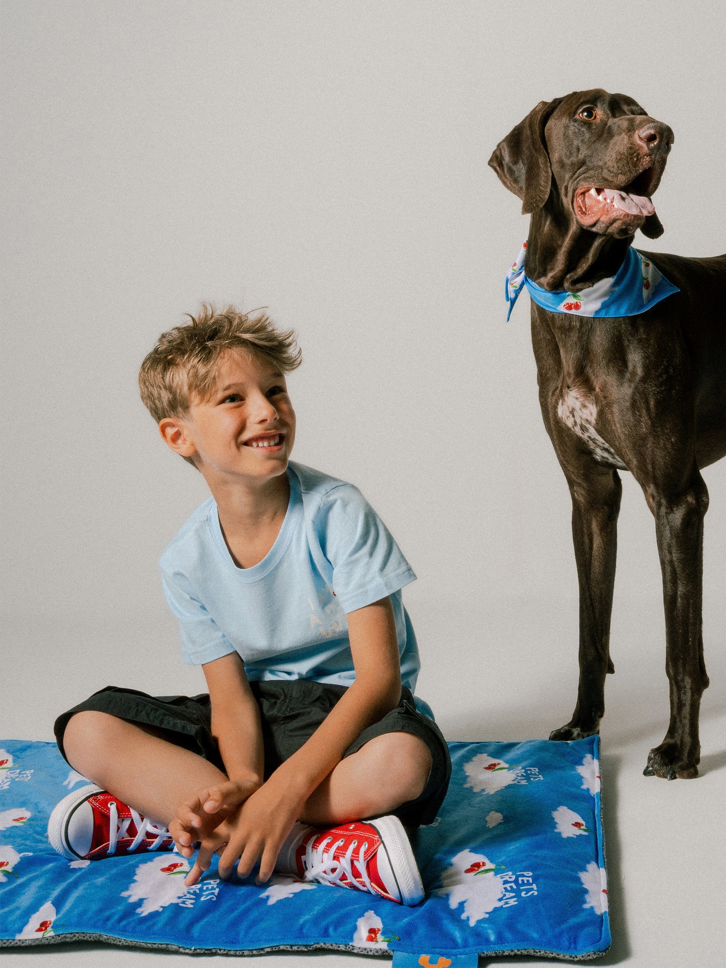 Tappeto celeste per cani Pets Dream