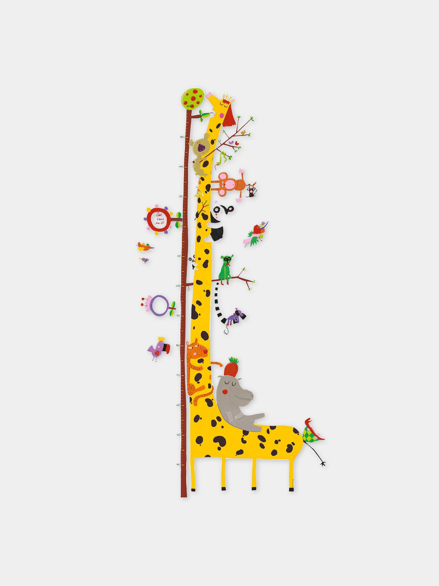 Grafico multicolor per bambini,Djeco,DD04037